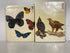 Lot of 2: Butterflies (Sandved)/Birds (Cameron) 1976 Vintage HC DJ Ex-Library