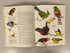 Lot of 2: Butterflies (Sandved)/Birds (Cameron) 1976 Vintage HC DJ Ex-Library