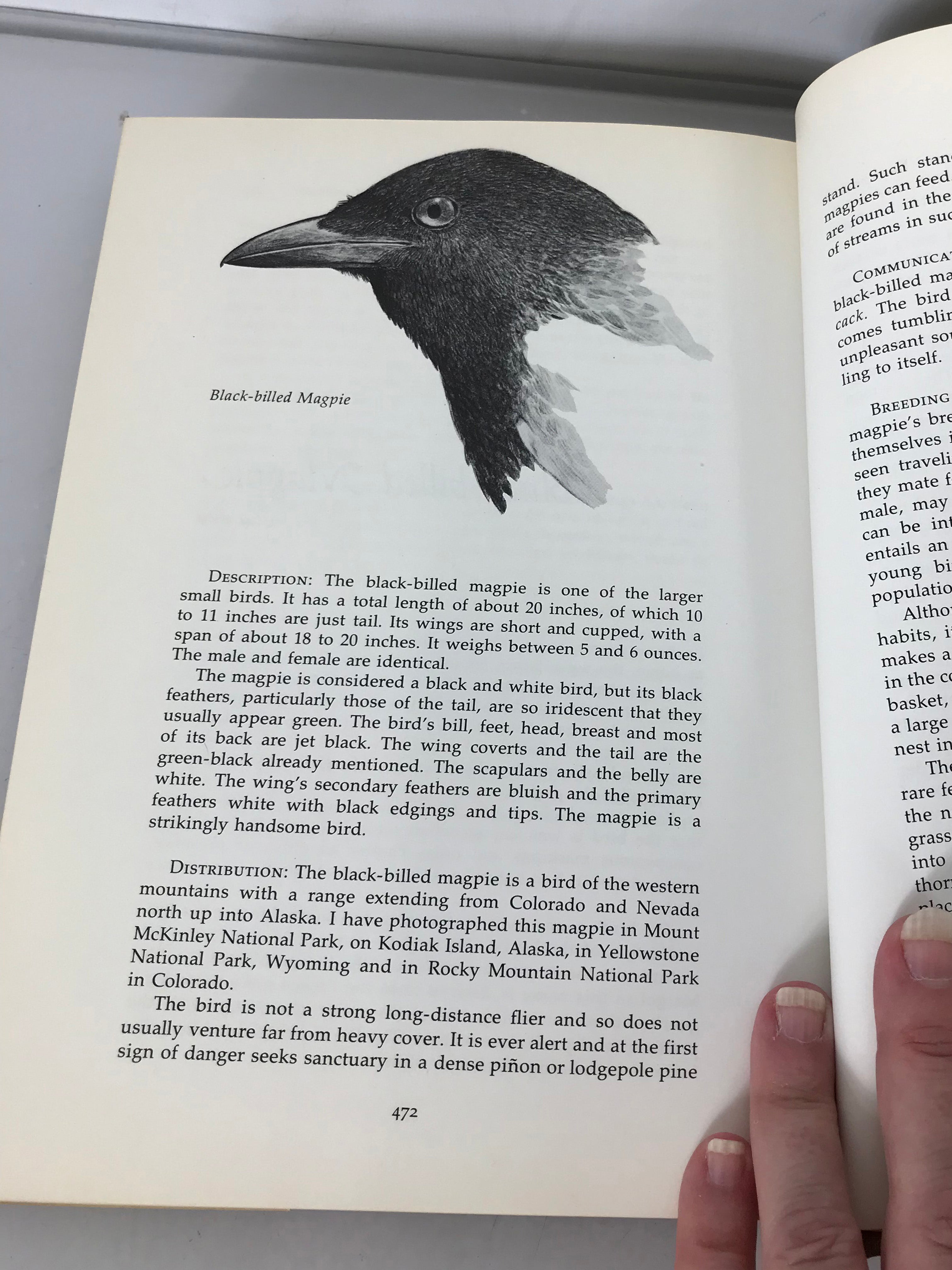 Game Birds of North America by Leonard Lee Rue III 1976 HC DJ