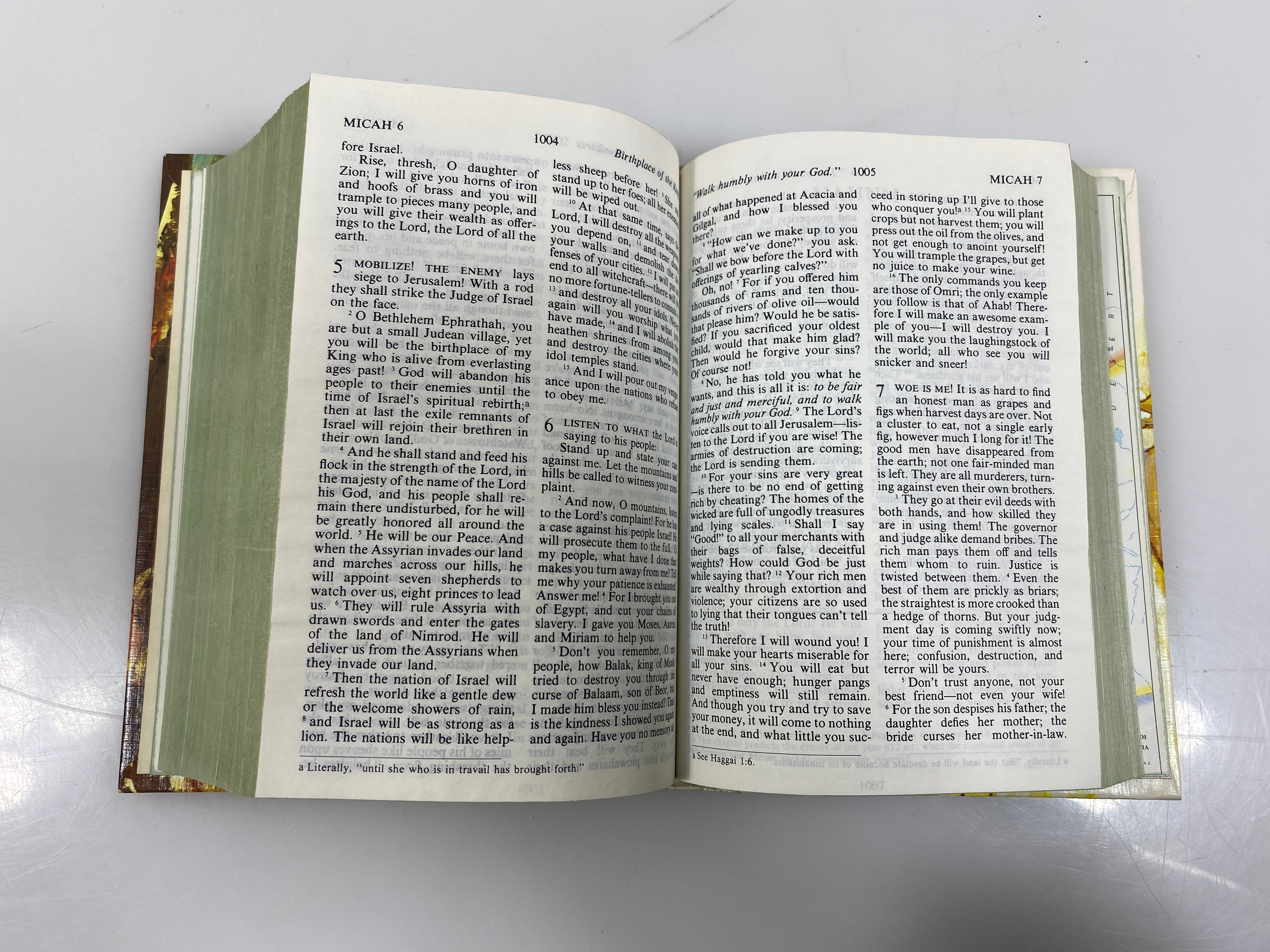 The Children's Living Bible Tyndale House Publishers 1974 HC Slipcase