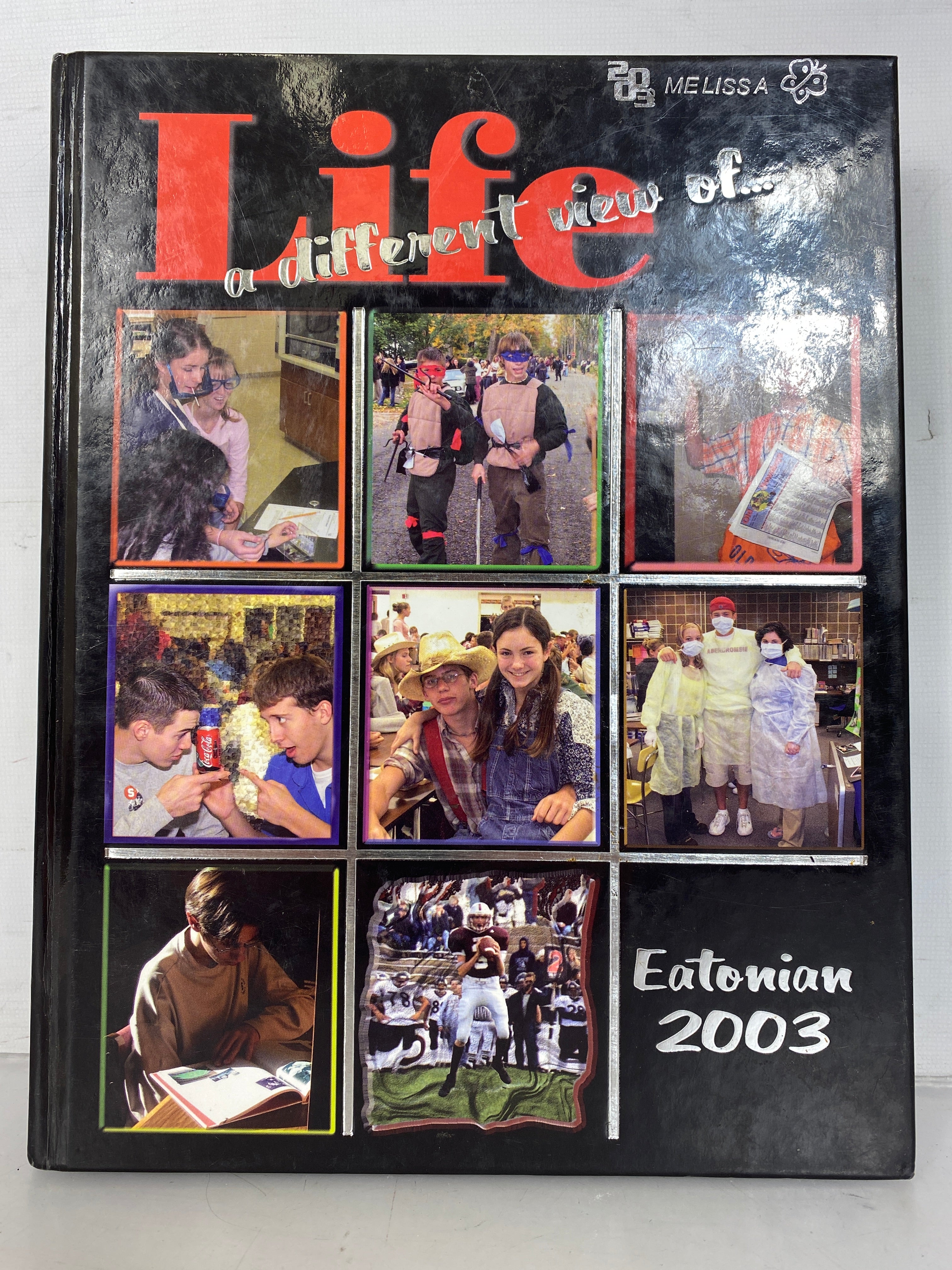 2003 Eaton Rapids High School Yearbook Eaton Rapids Michigan The Eatonian
