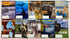 Lot of 17 National Parks Magazines 2015-2021