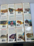 Lot of 24: Vintage Sunfire Young Adult Paperbacks 1984-87 SC