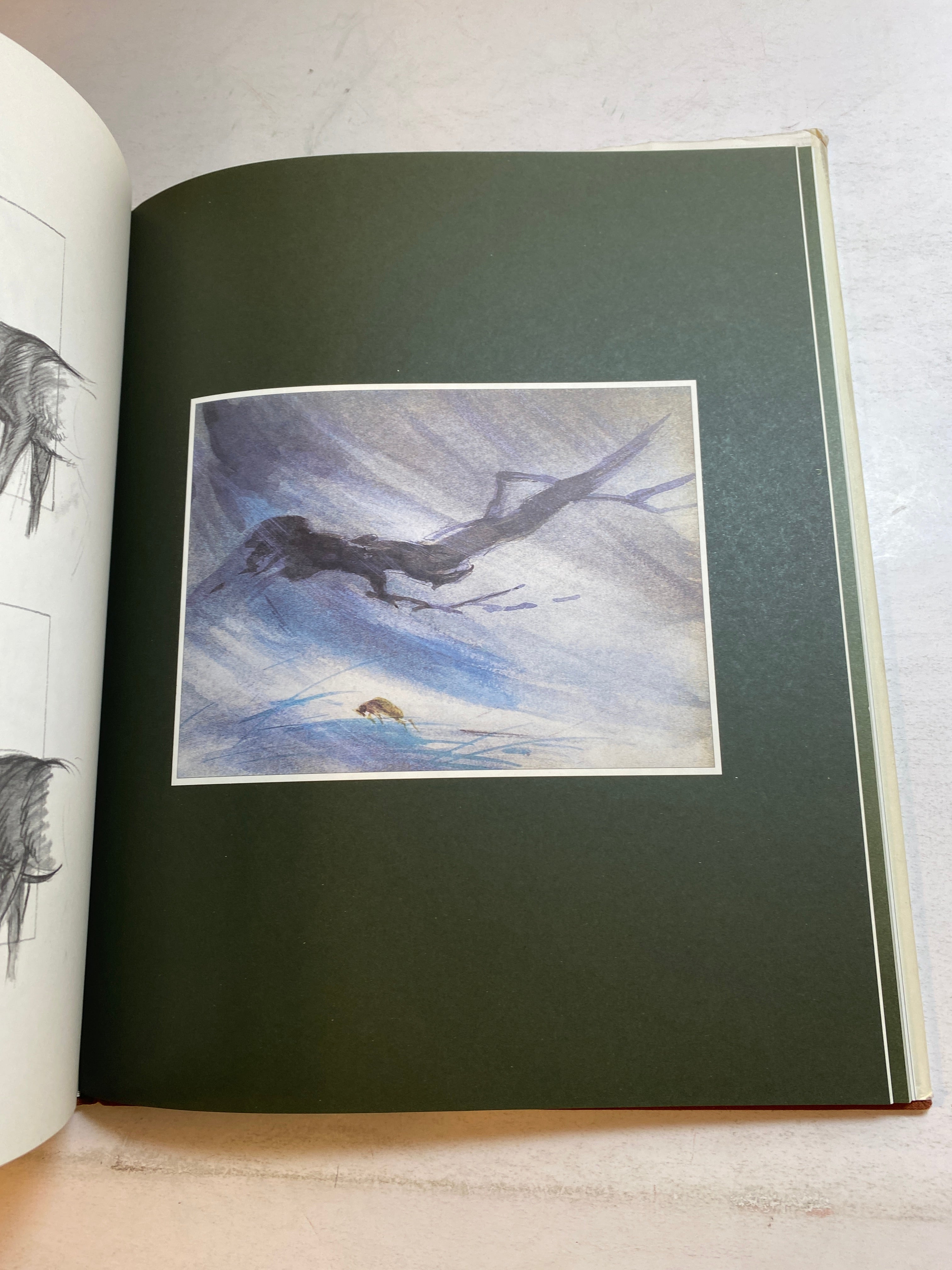 Walt Disney's Bambi Sketch Book Series HCDJ 1997