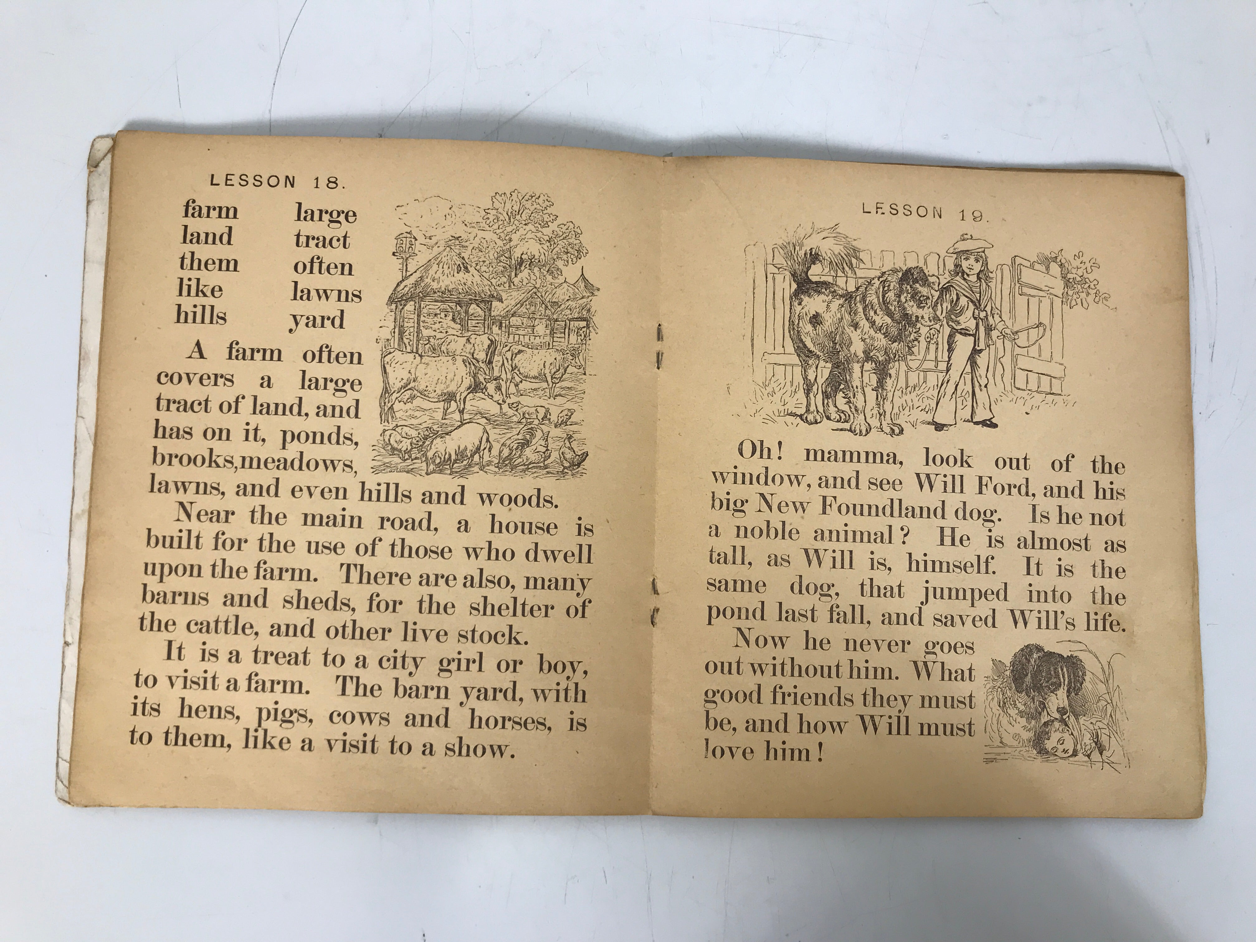 Home Primer for Home and School Work 1887 35 Lessons Antique SC