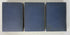 3 Volume Set: The New Century Dictionary 1933 Edition HC