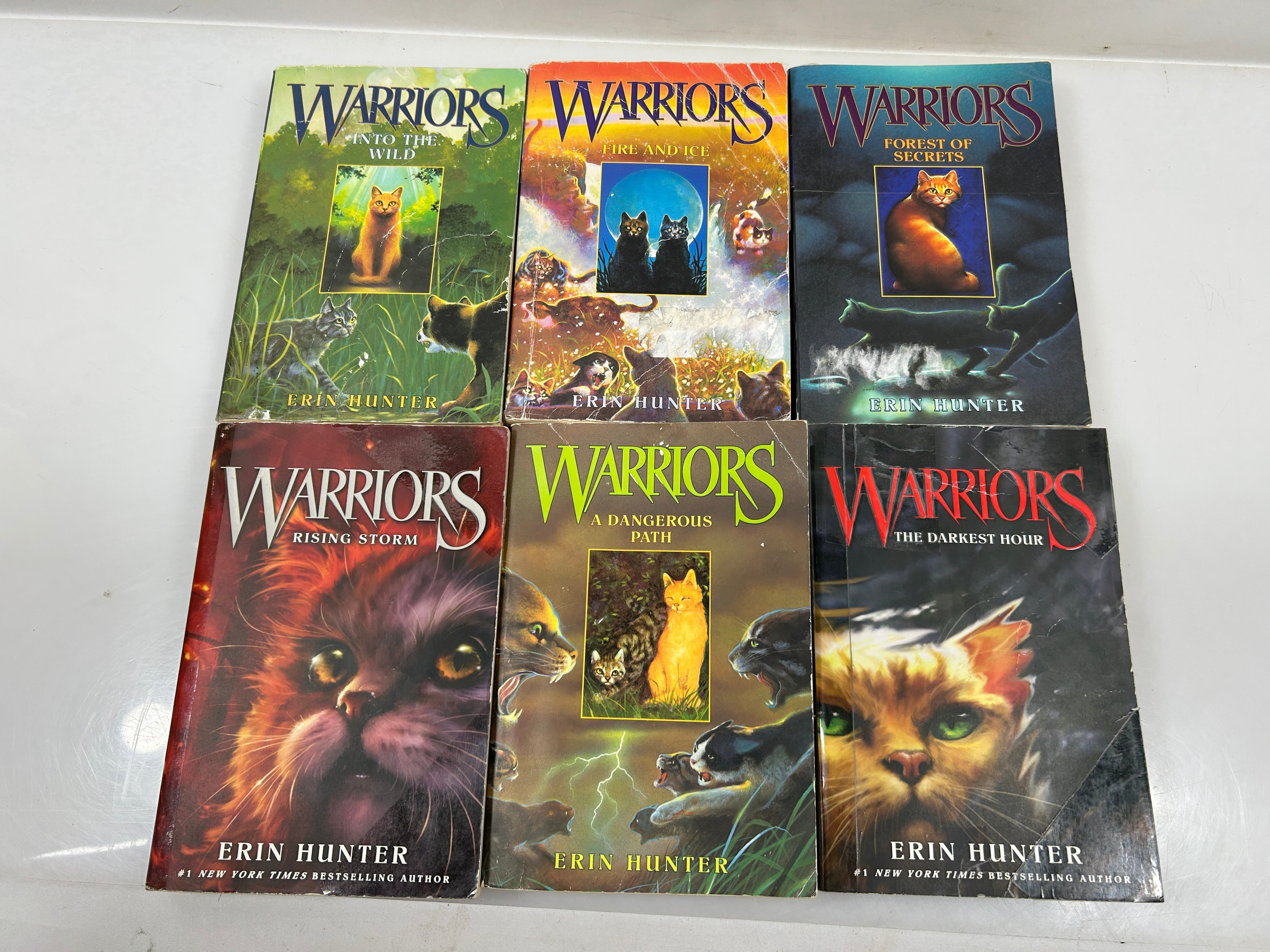 Lot of 6 Warrior Cats The Prophecies Begin SC