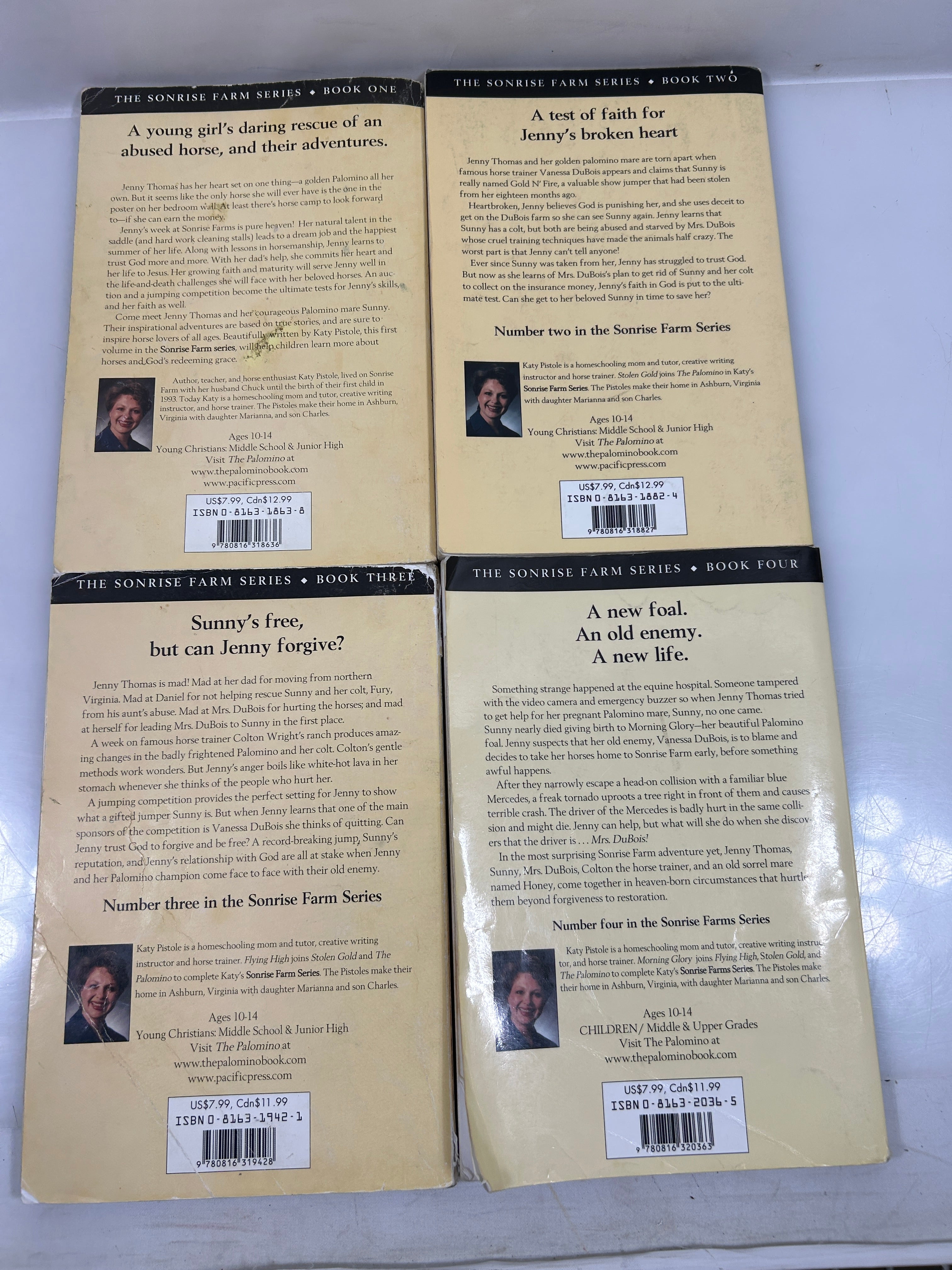 Set of 4 The Sonrise Farm Series by Katy Pistole UK SC