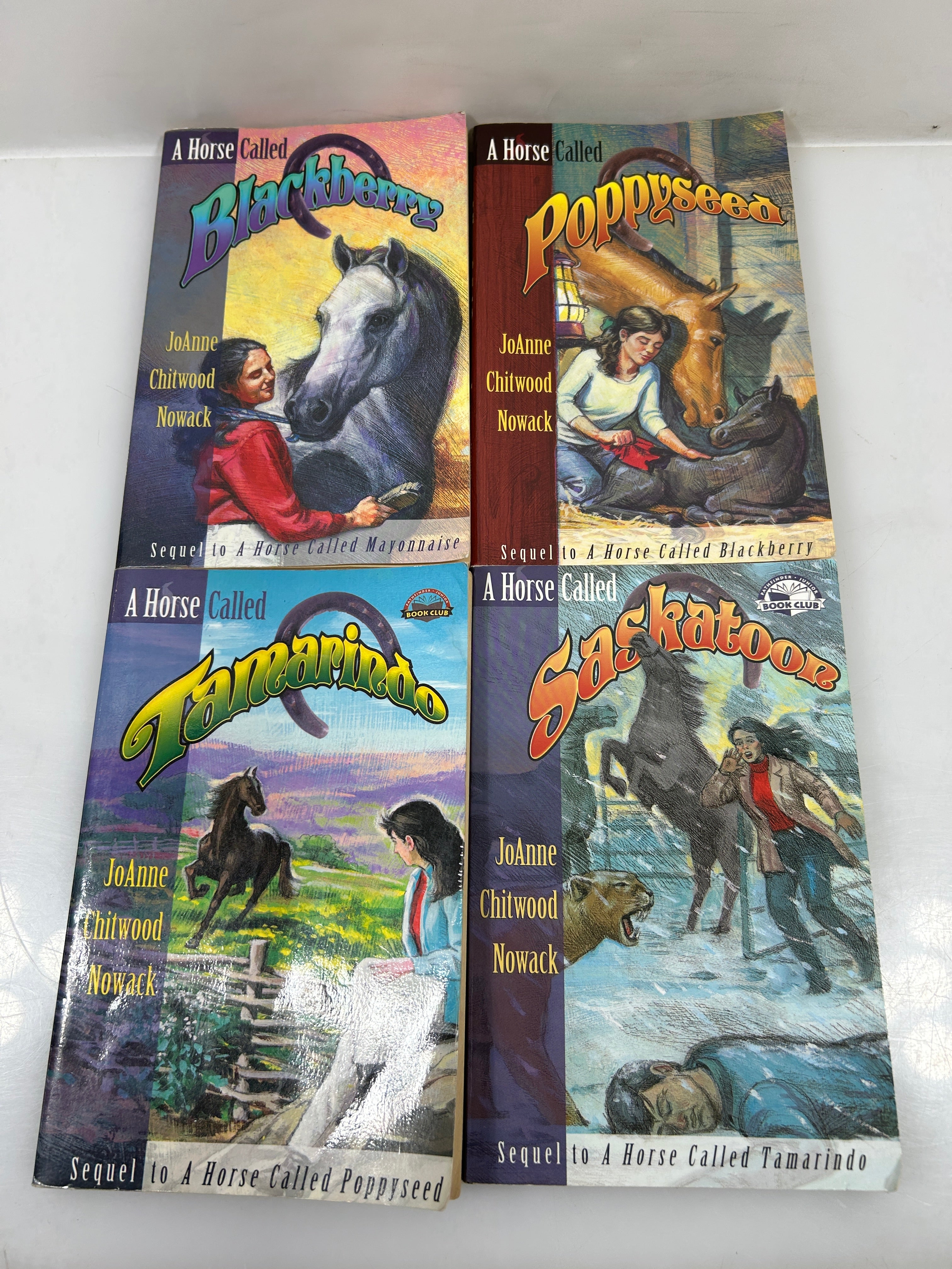 Lot of 4 A Horse Called ___ Books by JoAnne Chitwood Nowack SC
