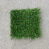 MSU Football Practice Field Green Turf Cut (Small)