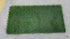 MSU Football Practice Field Green Turf Cut (Medium)