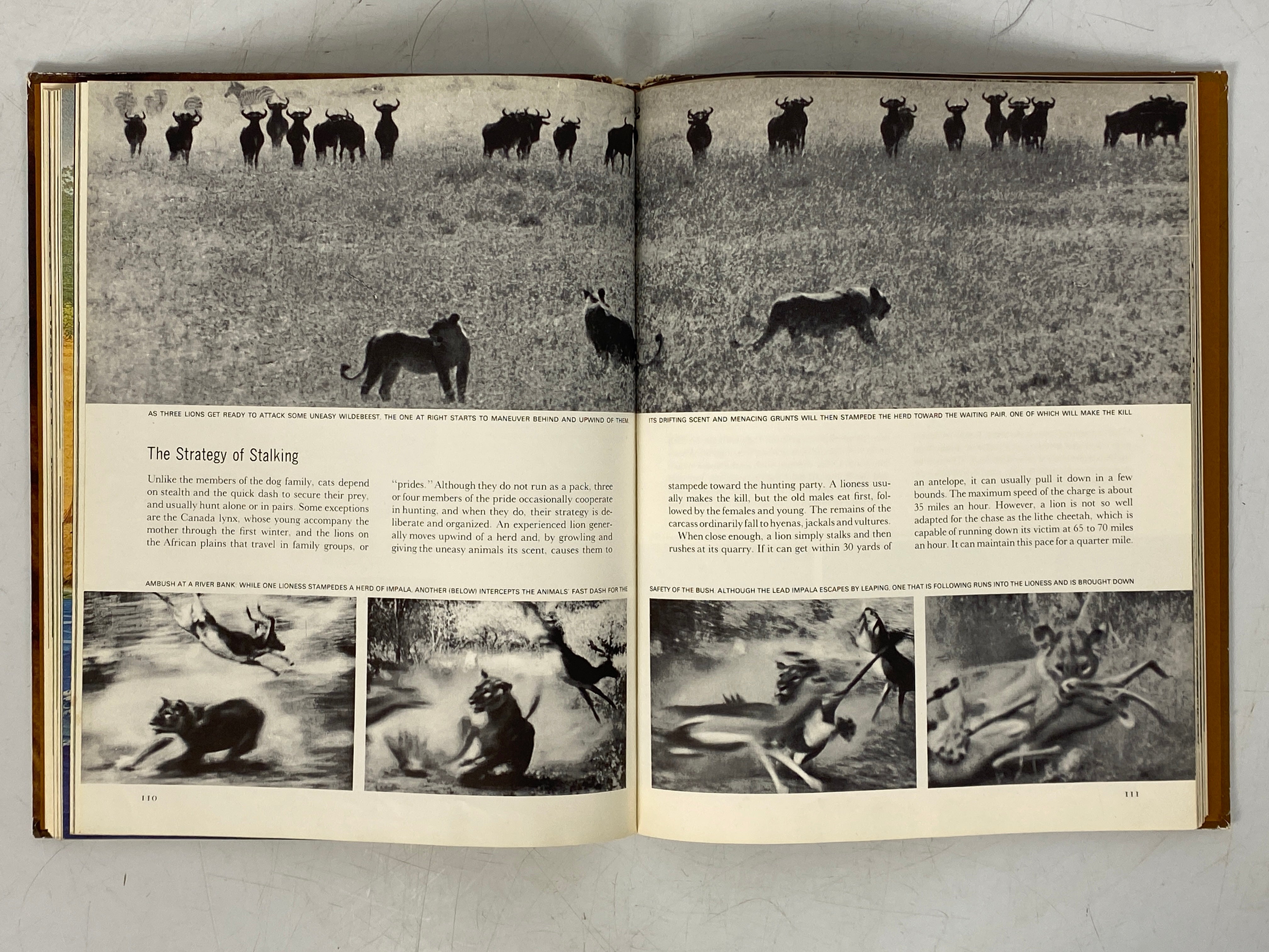 7 Vols: Life Nature Library incl Evolution/Mammals/Universe 1963-65 HC