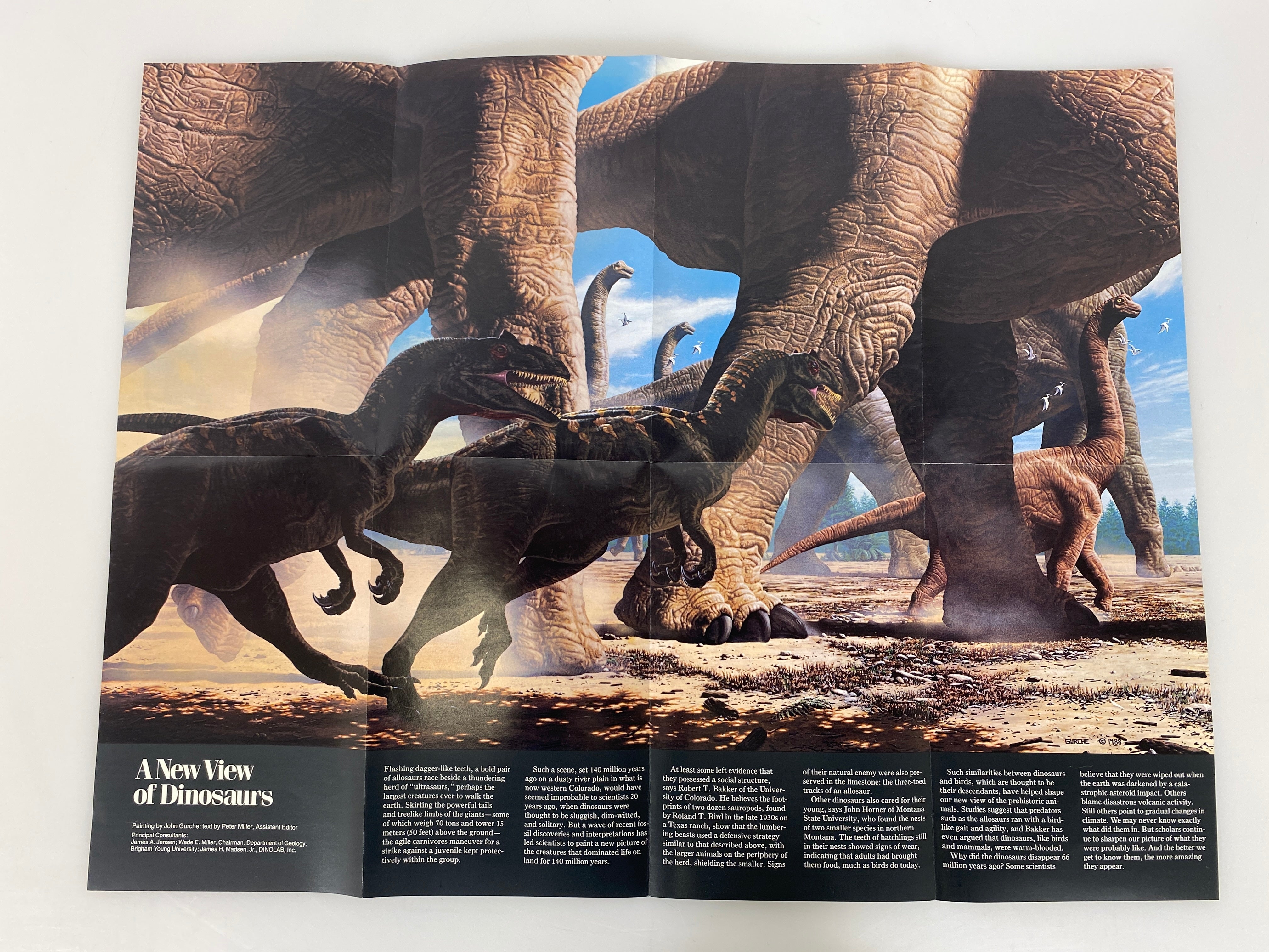 Lot of 4Posters Age of Dinosaurs/Toward Extinction/Physical Earth/Dawn of Humans