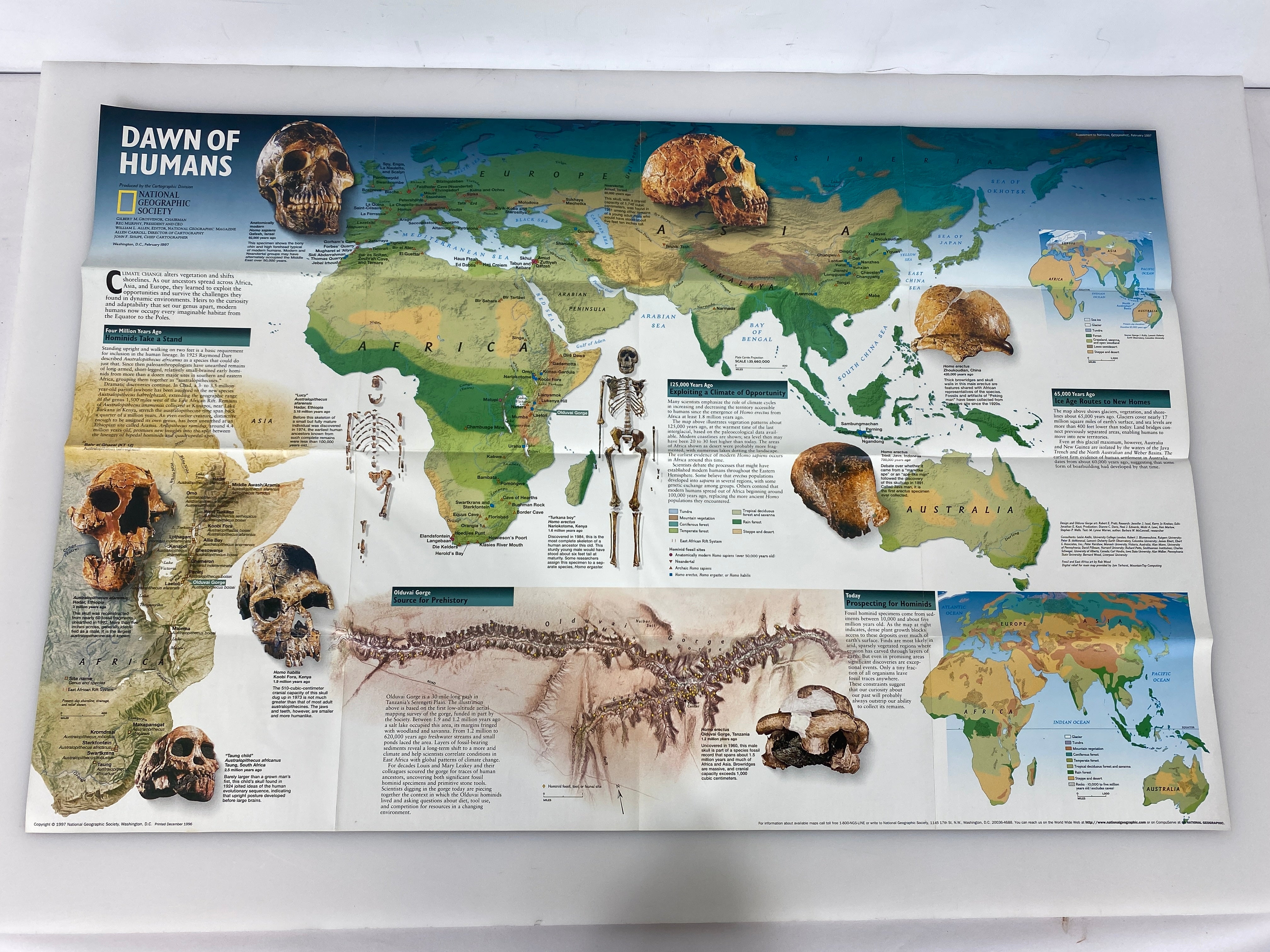 Lot of 4Posters Age of Dinosaurs/Toward Extinction/Physical Earth/Dawn of Humans