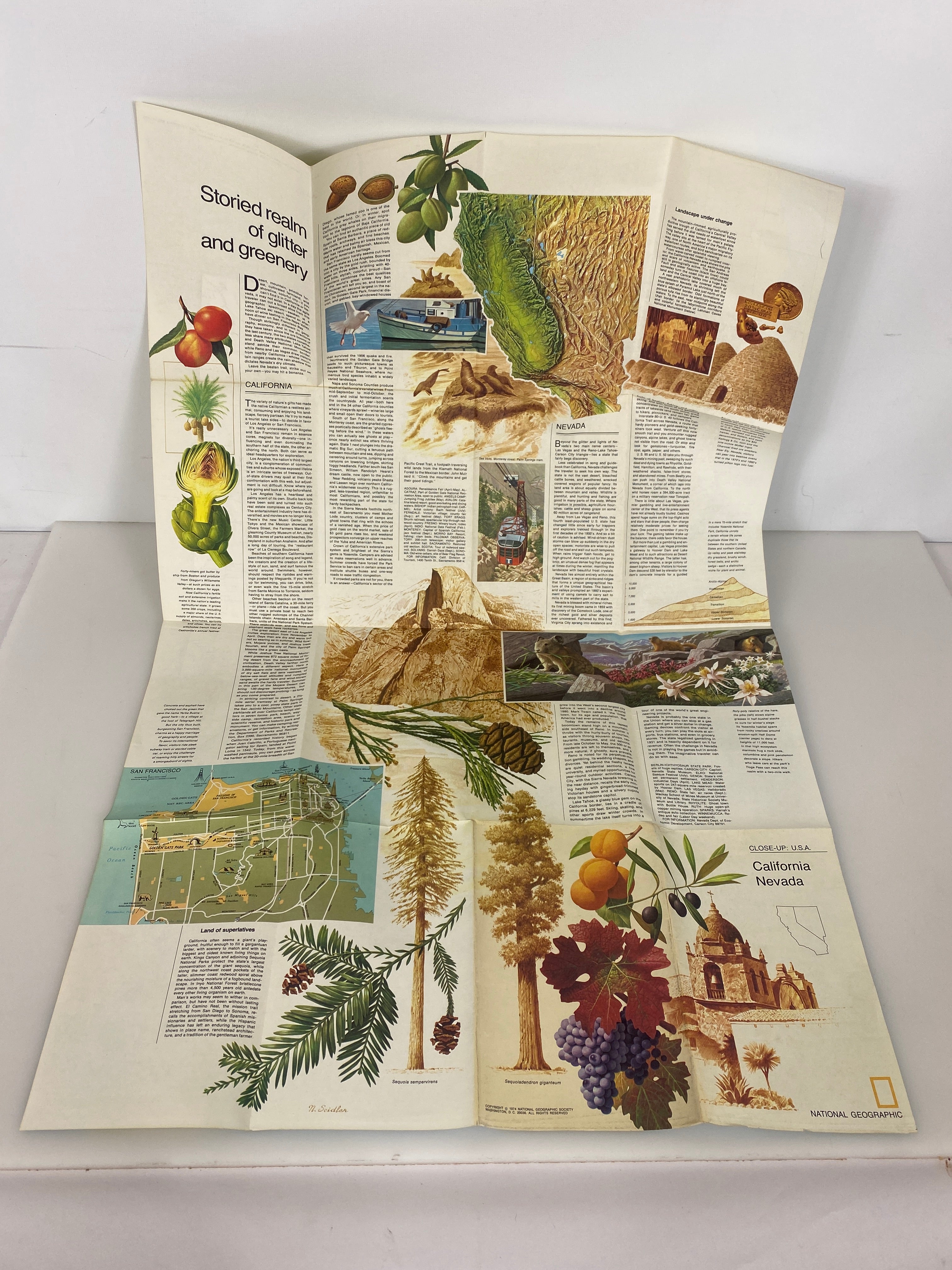 Lot of 2 Nat Geo Maps Close Up USA California/Nevada & Southern California 66-74