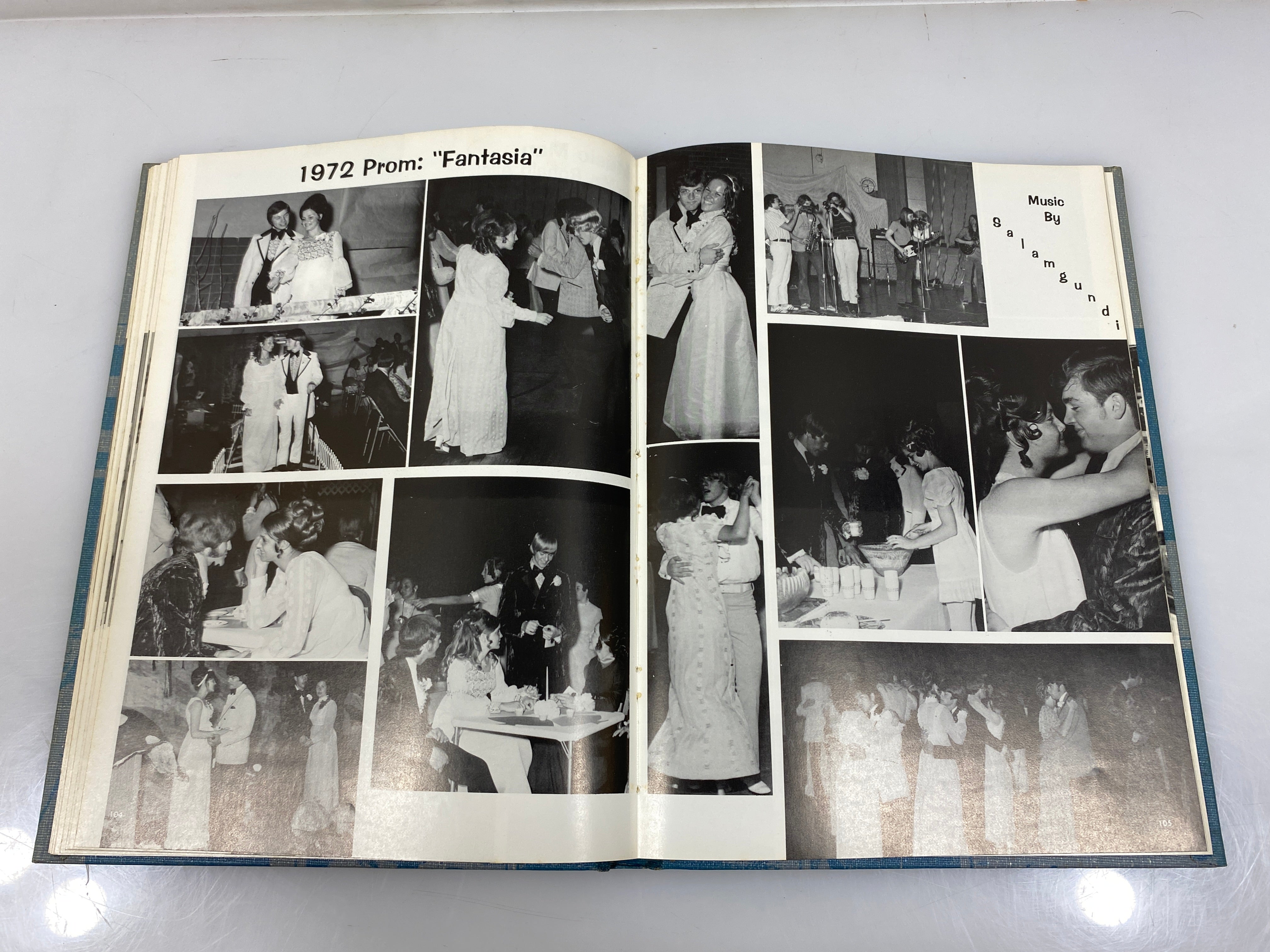 1972 "Rampages" Holt High School Yearbook Holt Michigan HC