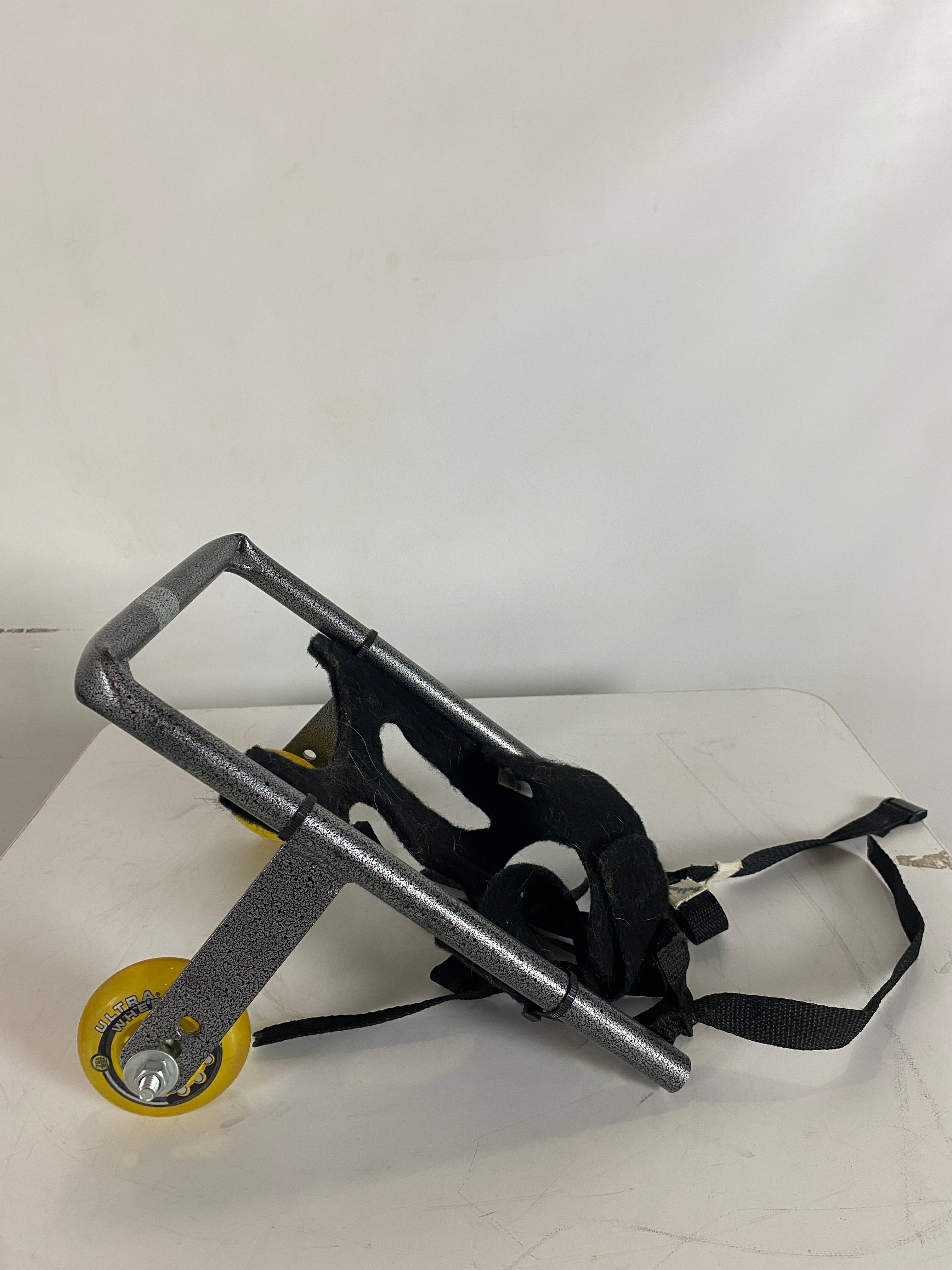 Small Dog Wheelchair with Yellow Wheels