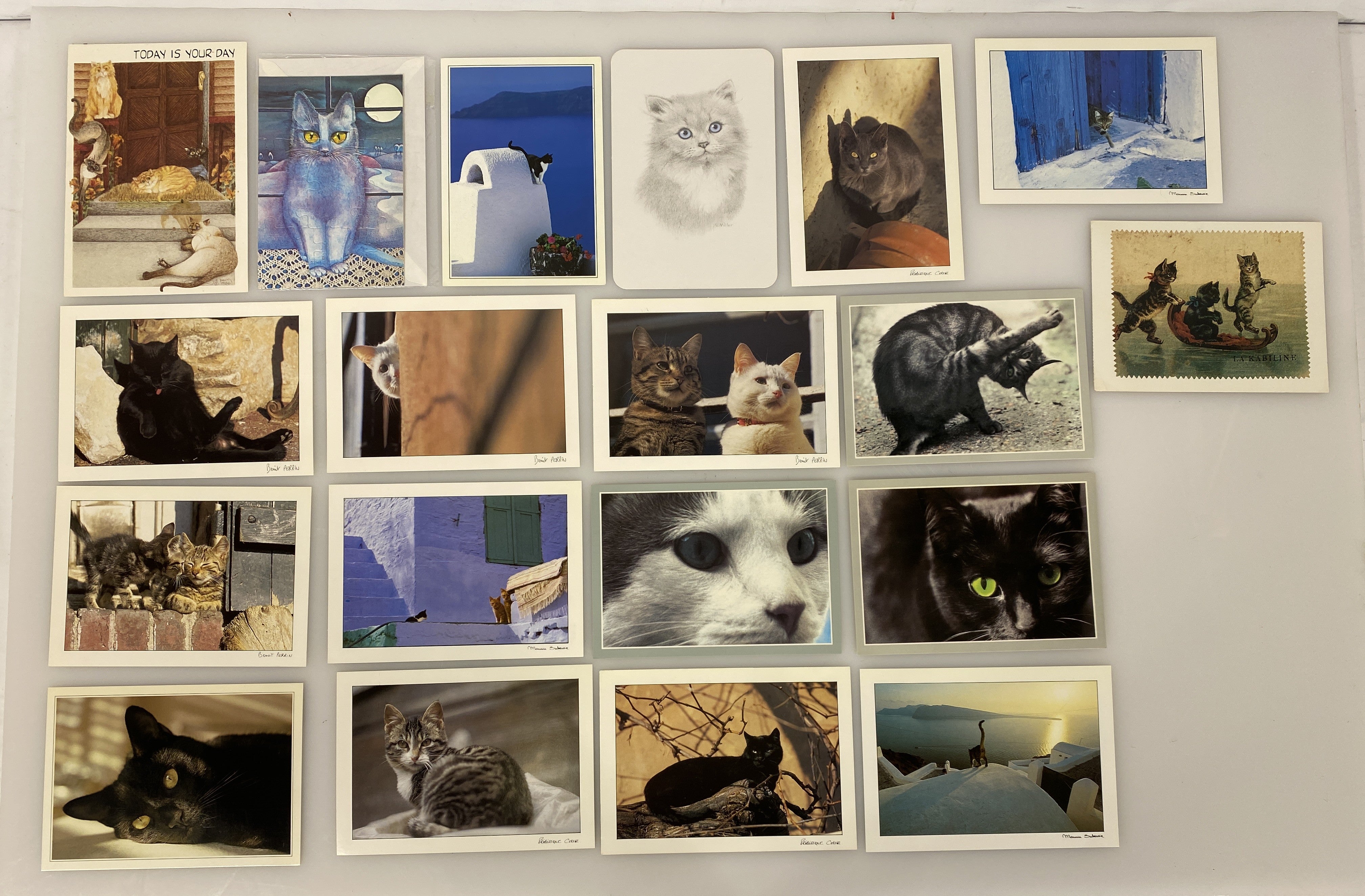 Misc. Lot of 19 Cat postcards