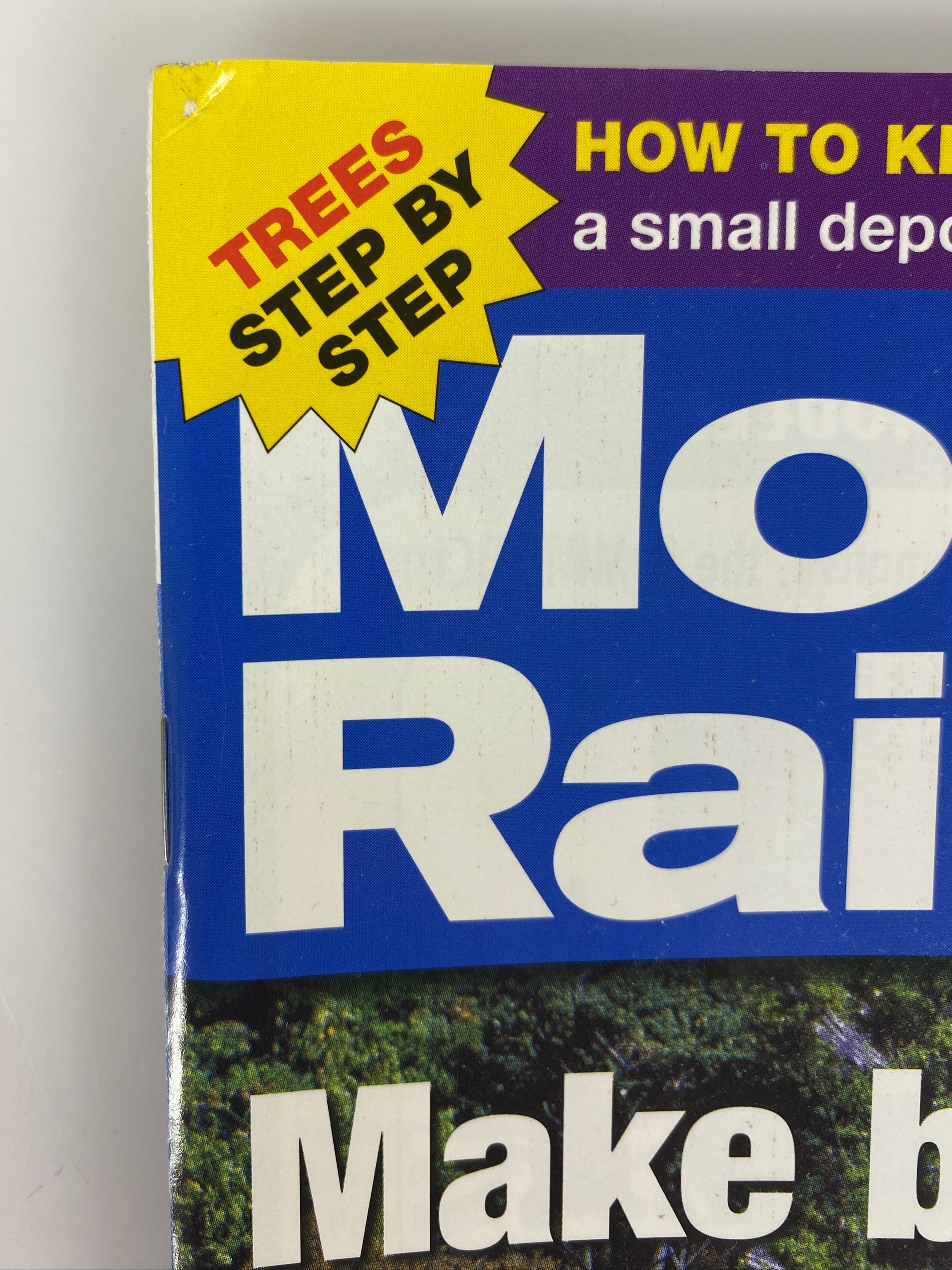 Lot of 12 Model Railroader Magazine (2005 Complete Year)