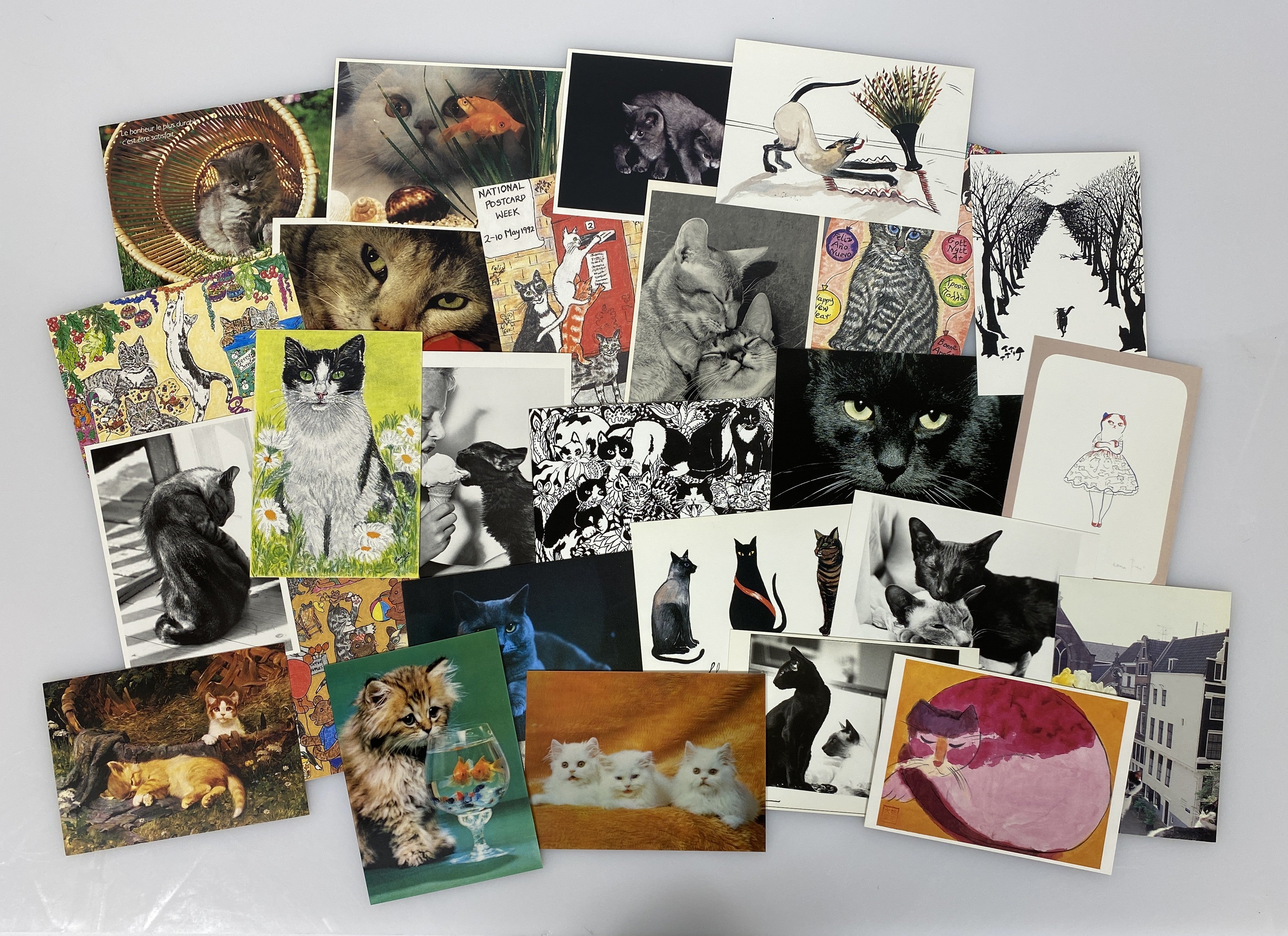 Misc. Lot of 26 Cat Postcards (6)