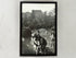 6x9 Framed Picture of MSU Students Annual Tug-of-War 1971 (A)