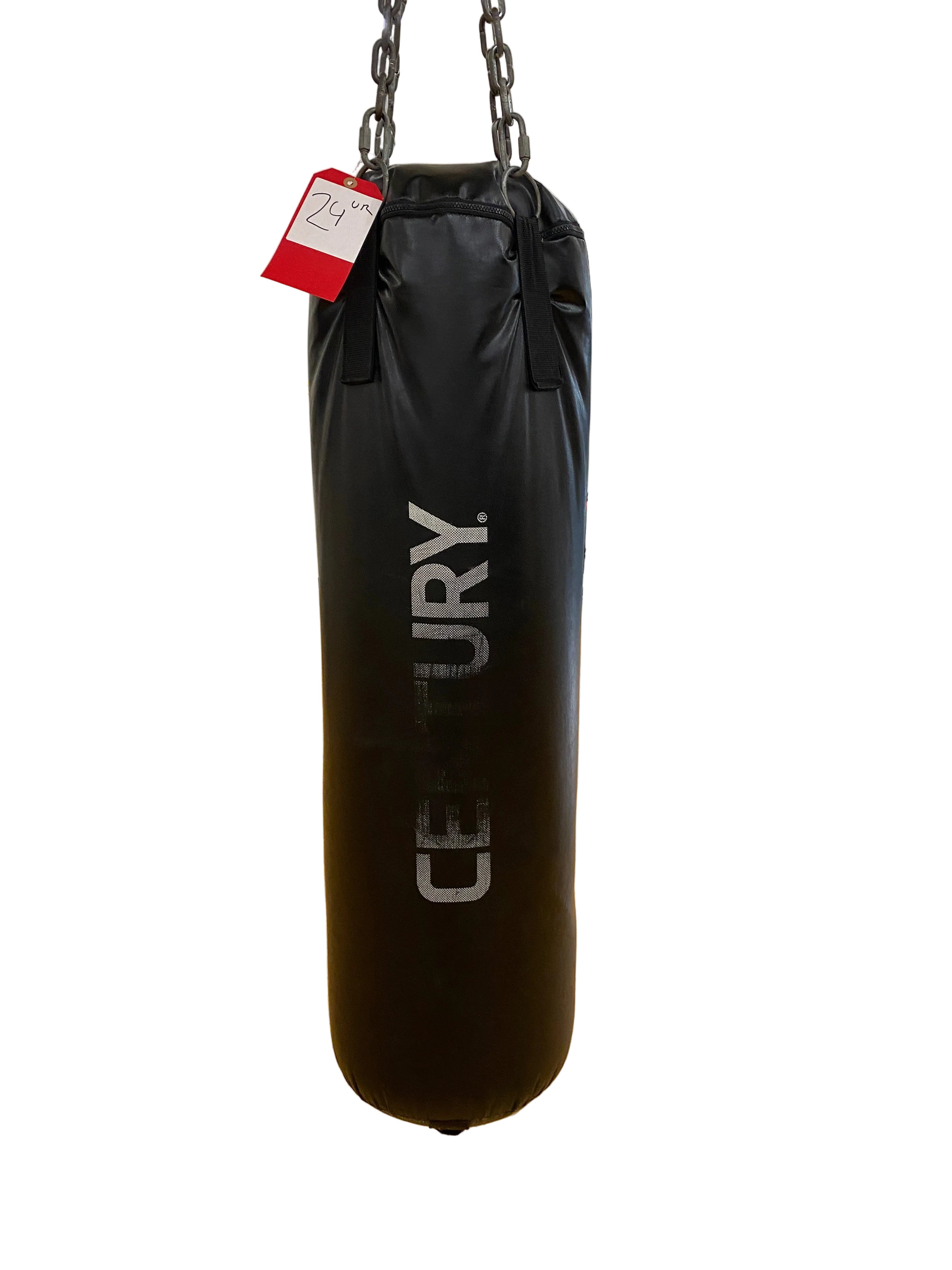 Century Punching Bag #1