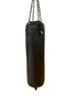 Century Punching Bag #1