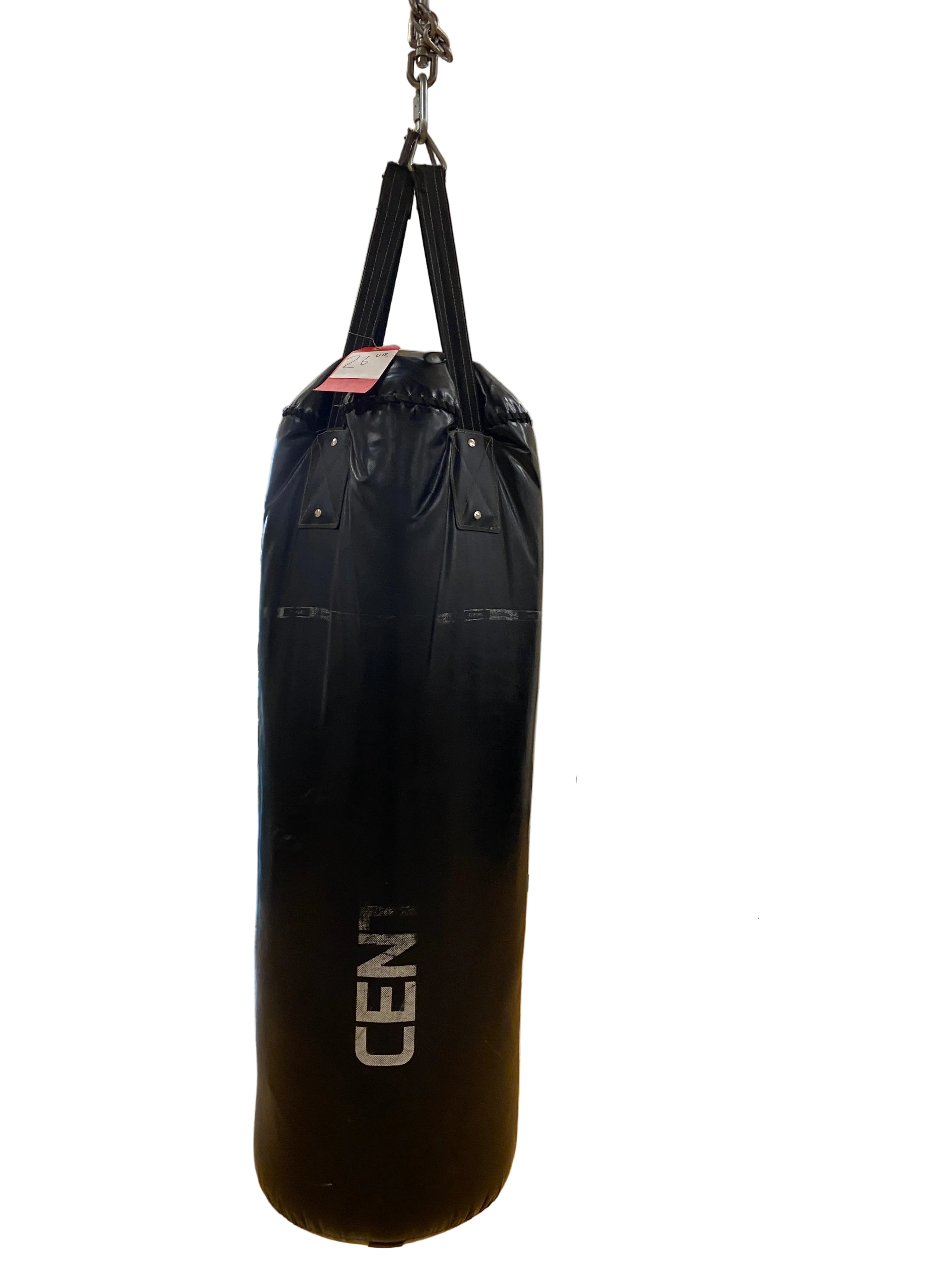 Century Punching Bag #2
