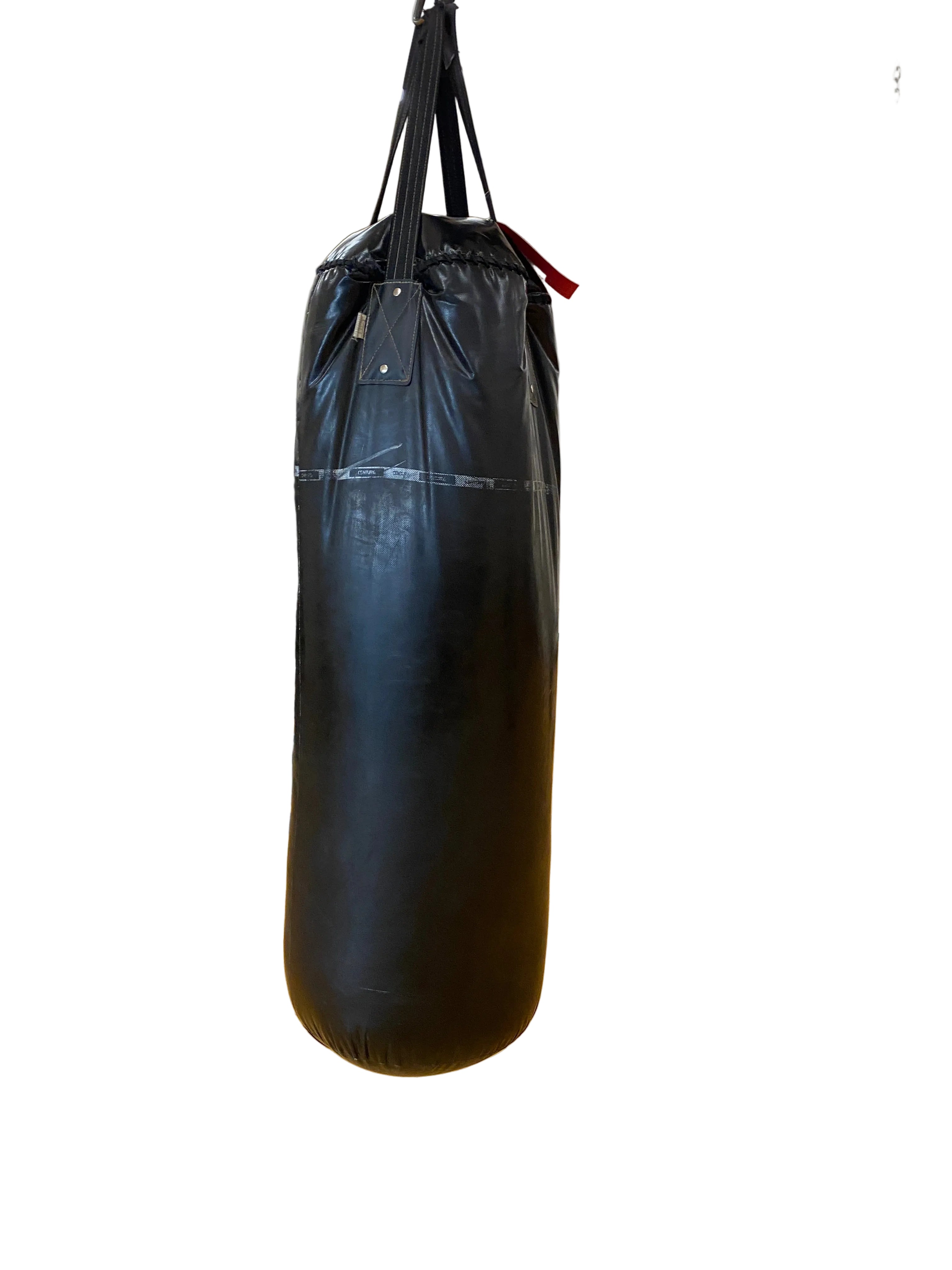 Century Punching Bag #2