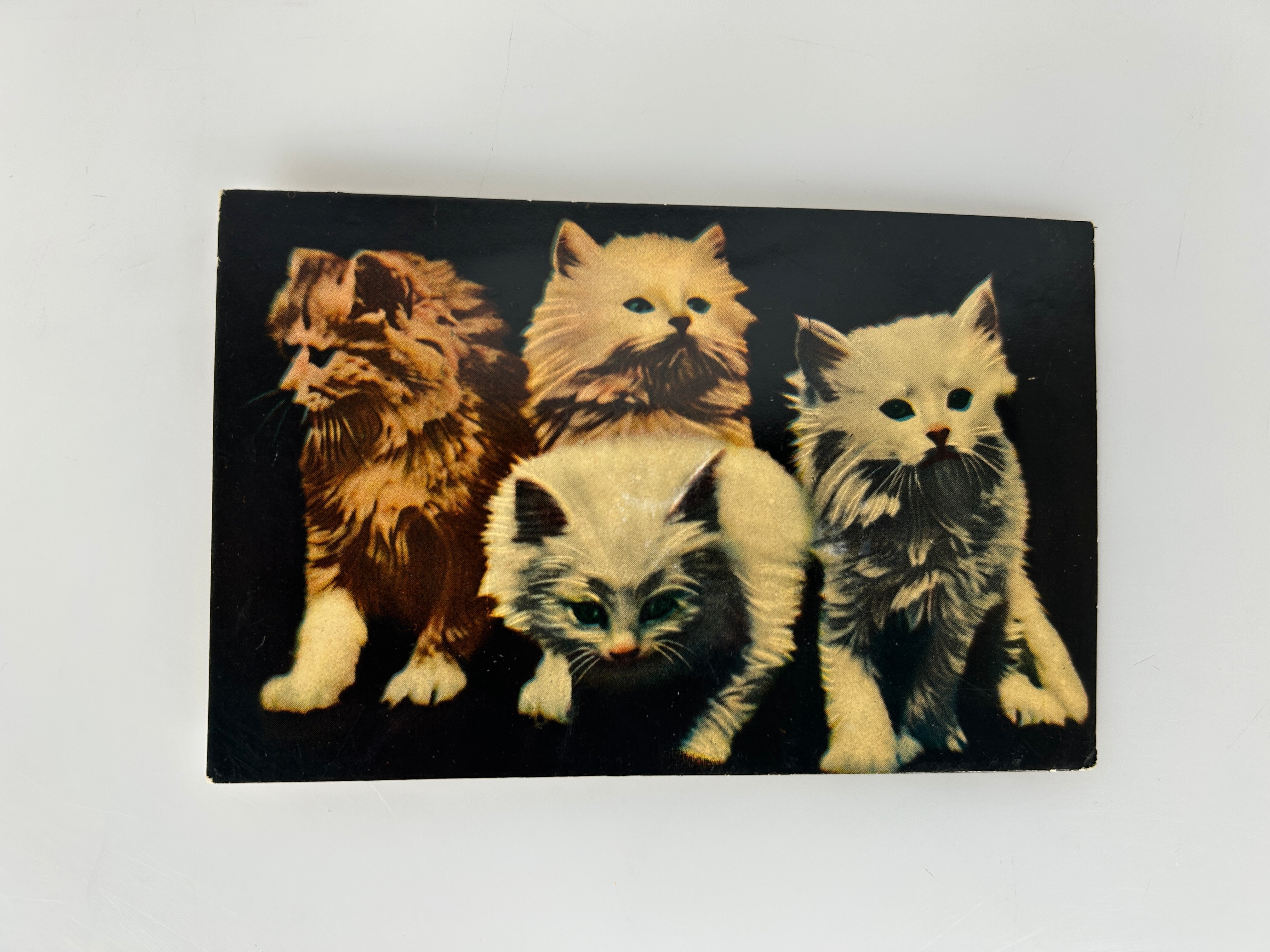 Antique Cat Novelty Squeaker Vintage Postcard makes noise c1950s