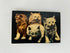 Antique Cat Novelty Squeaker Vintage Postcard makes noise c1950s