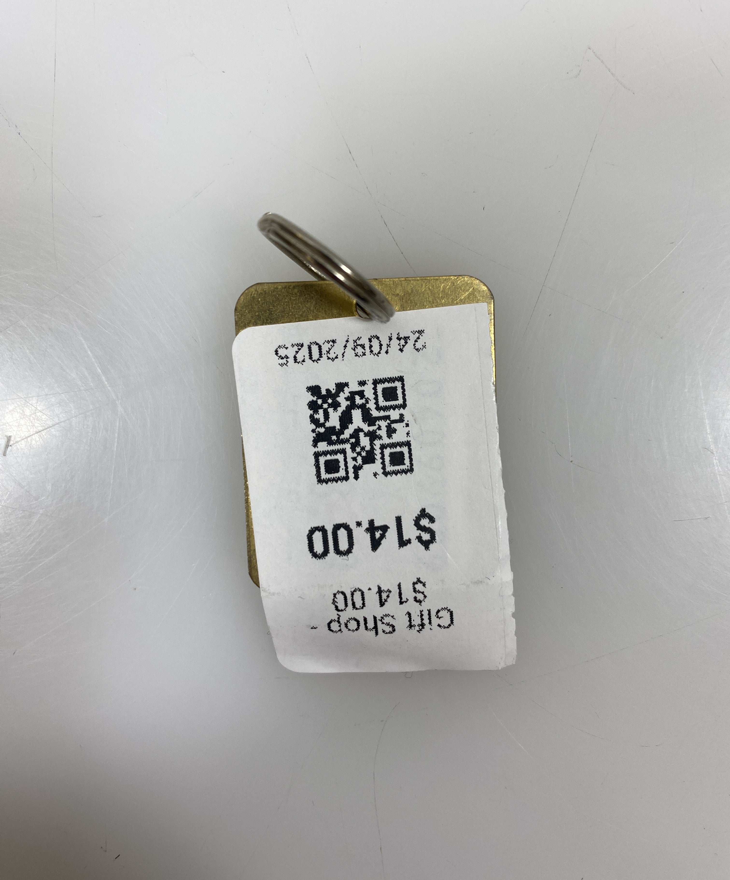 Gold Martin Luther King Jr. This Was Not My Dream Keychain