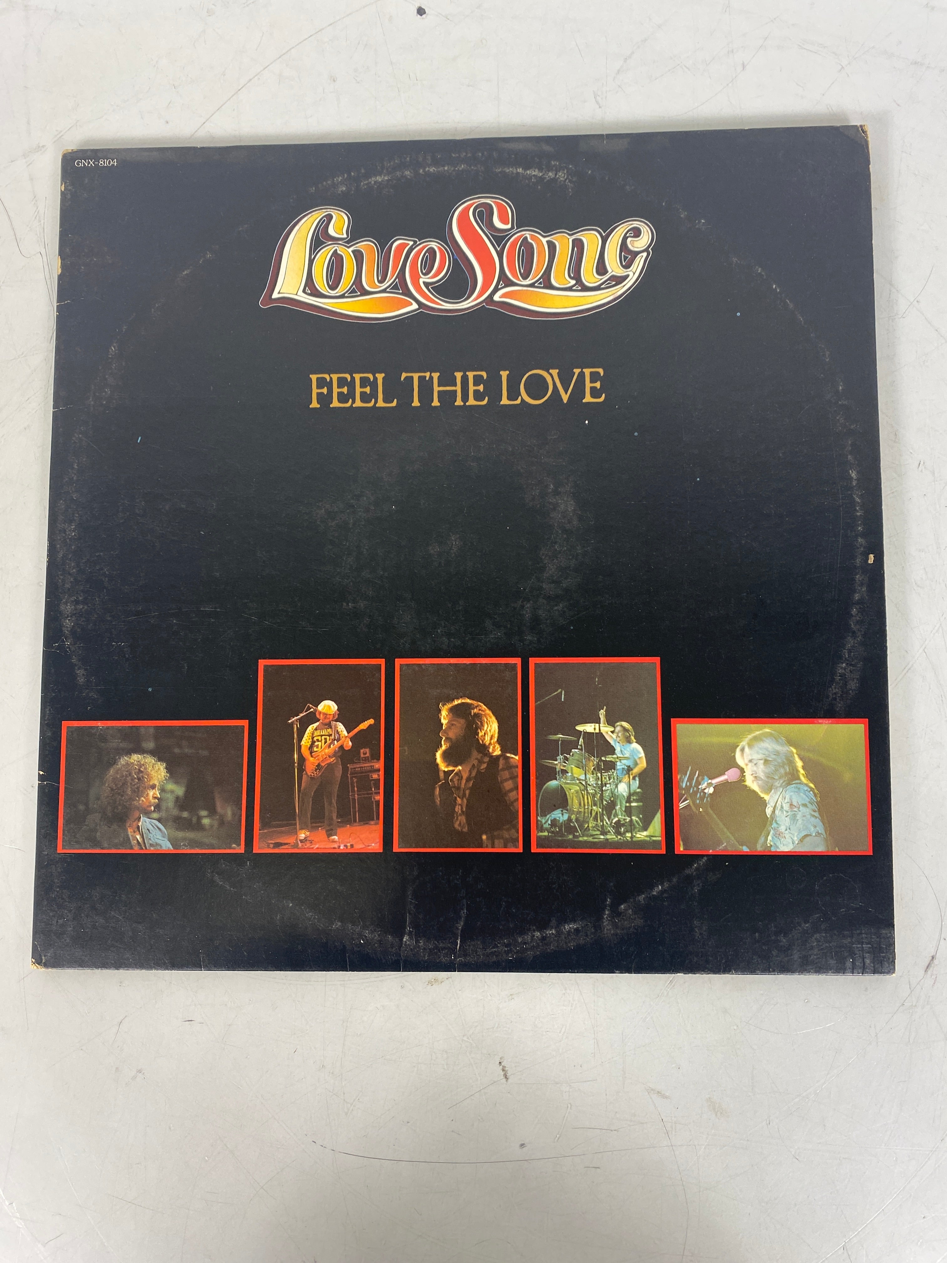 Love Song Feel the Love 2 Vinyl Record Set