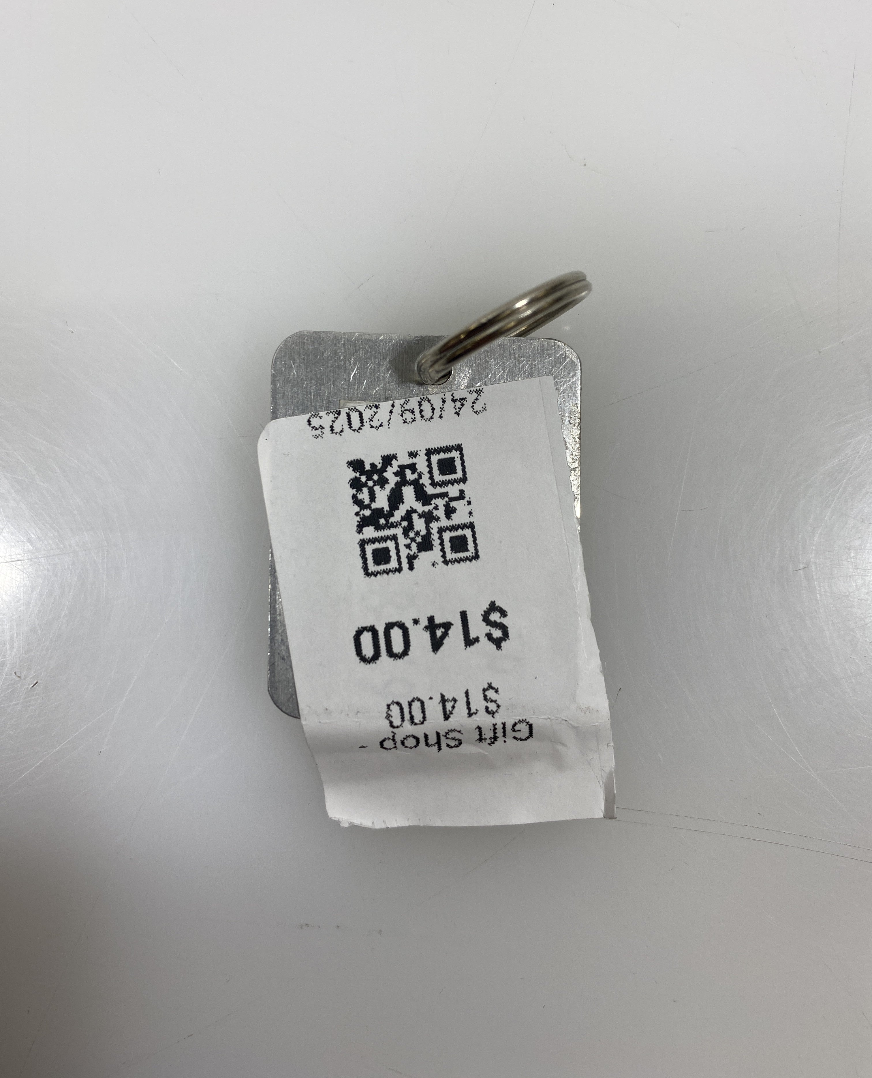 Silver Martin Luther King Jr. This Was Not My Dream Keychain