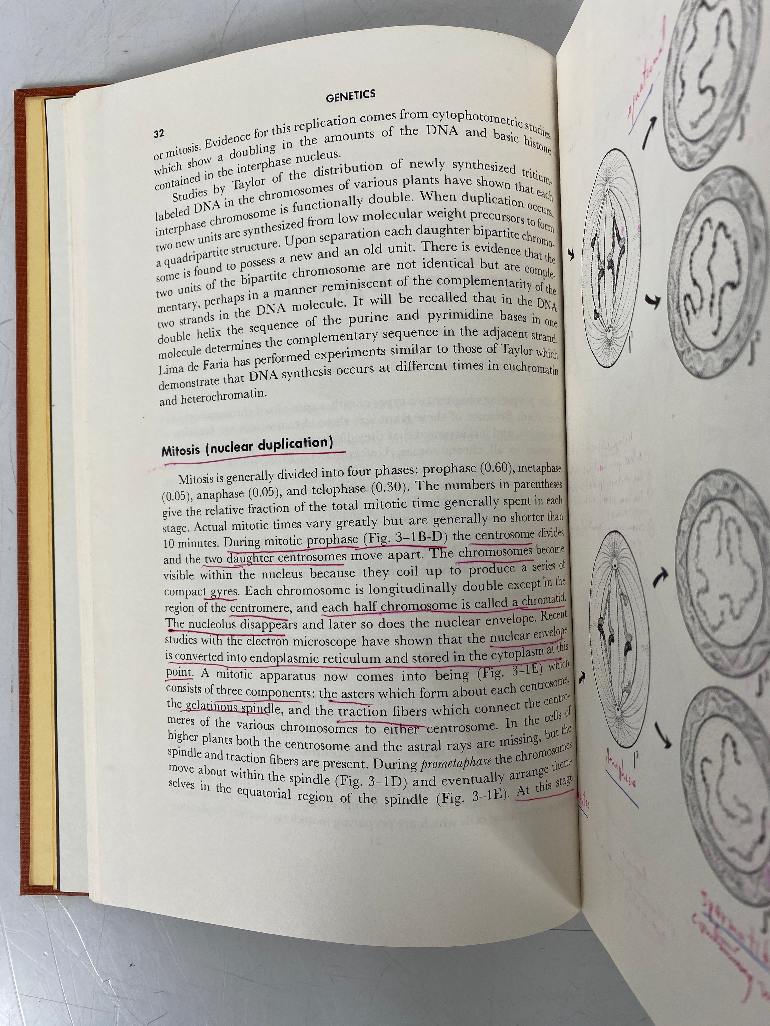 2 Vols: Genetics Robert King/Heredity David Bonner 1962-62 Vintage Texts