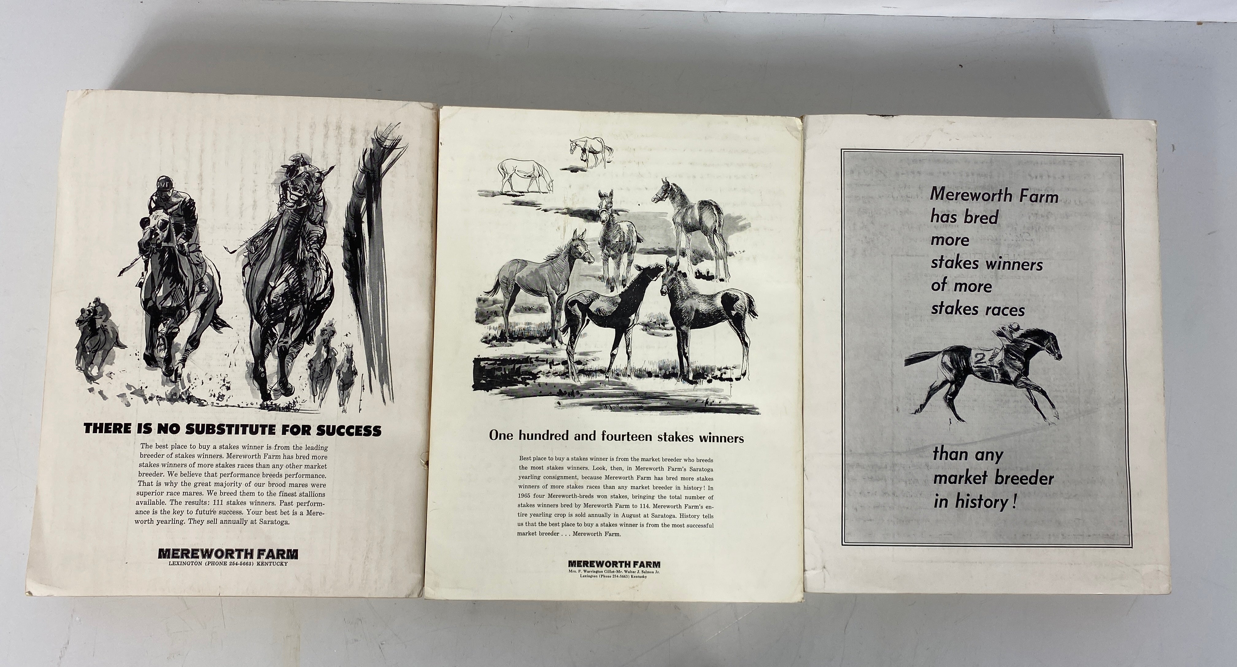 Lot of 3: The Thoroughbred Record & Racing Calendar 1964-1966 Vintage SC