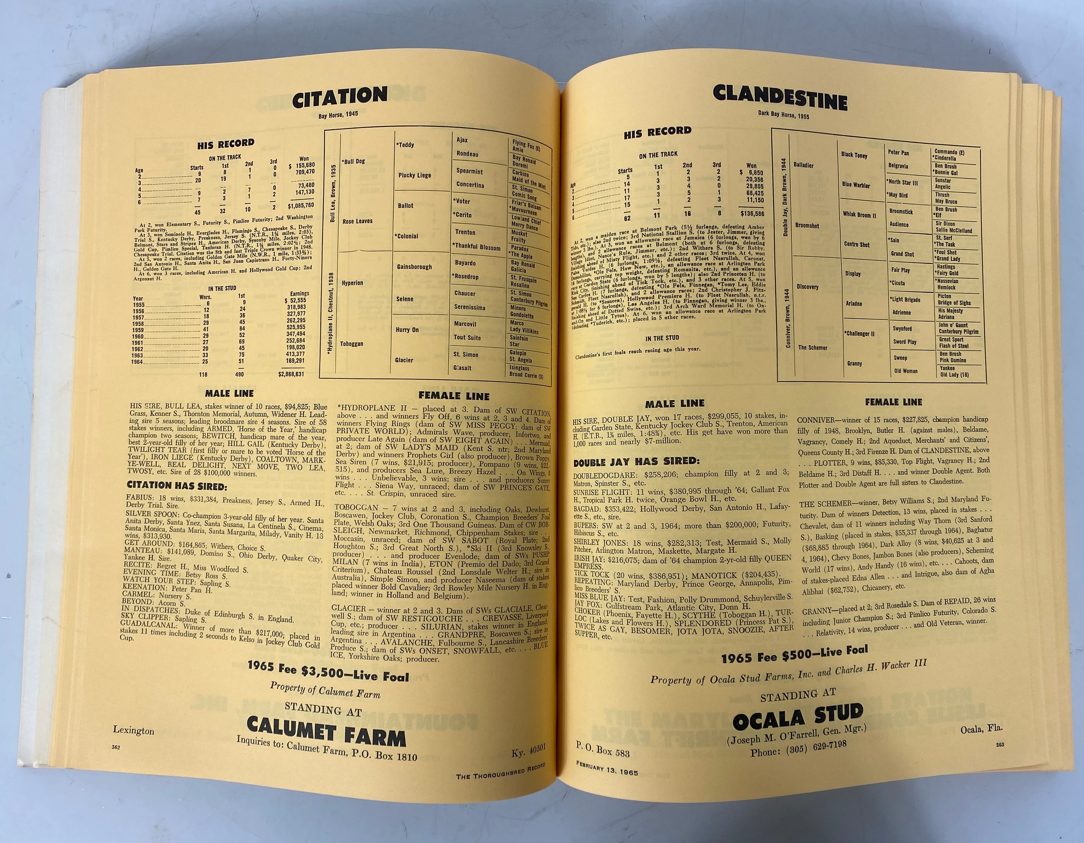Lot of 3: The Thoroughbred Record & Racing Calendar 1964-1966 Vintage SC
