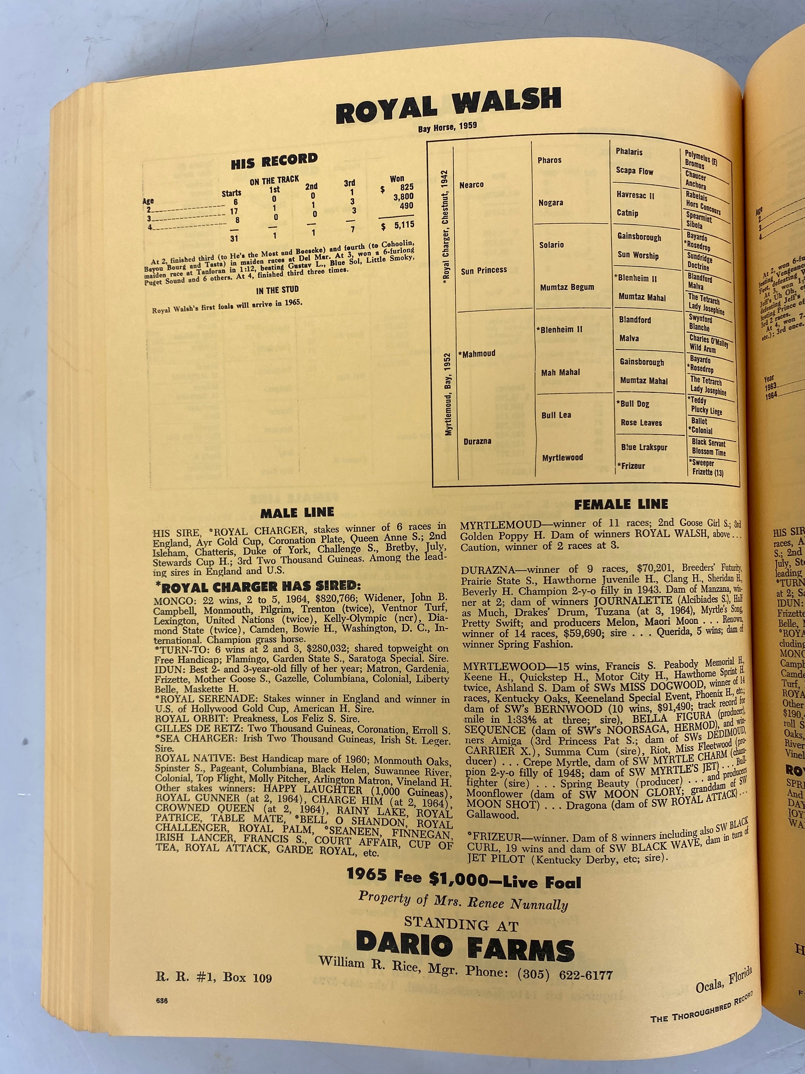 Lot of 3: The Thoroughbred Record & Racing Calendar 1964-1966 Vintage SC
