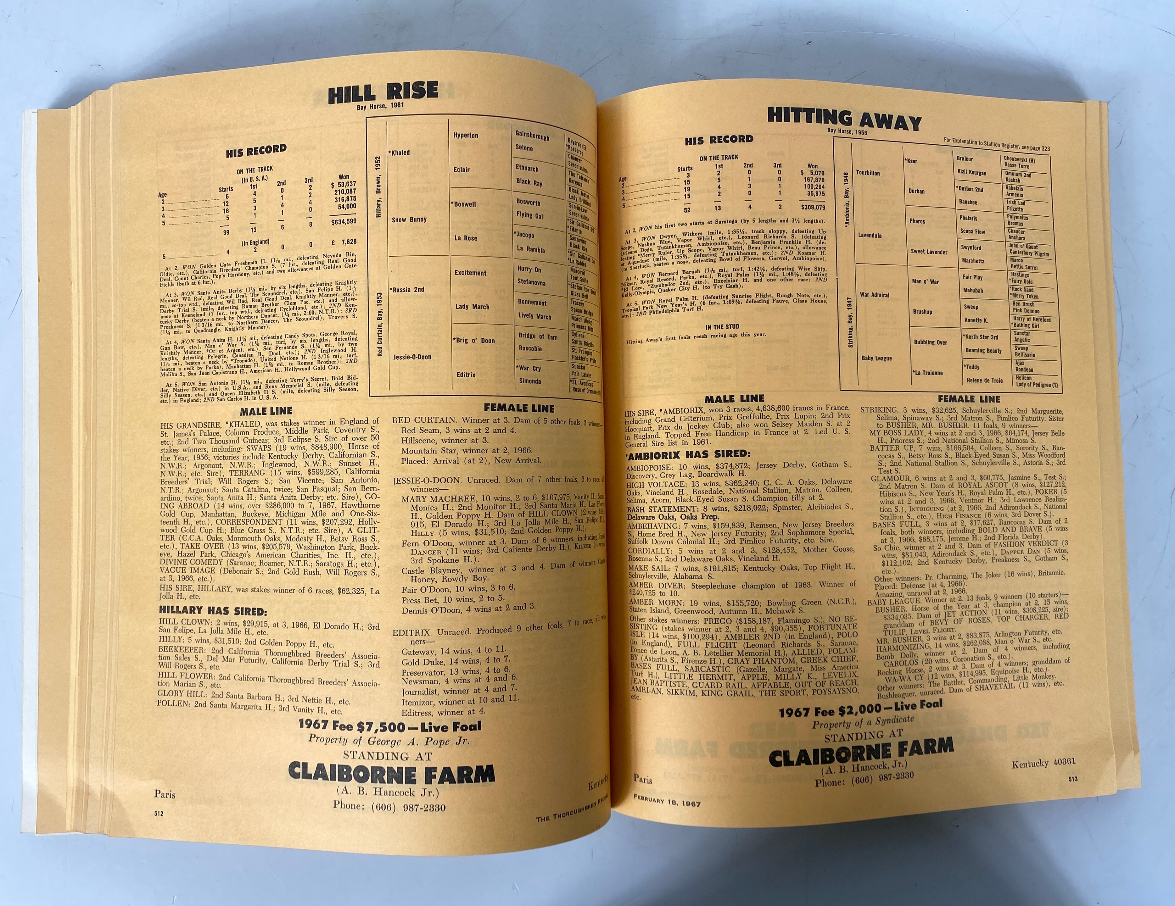 Lot of 3: The Thoroughbred Record & Racing Calendar 1964-1966 Vintage SC
