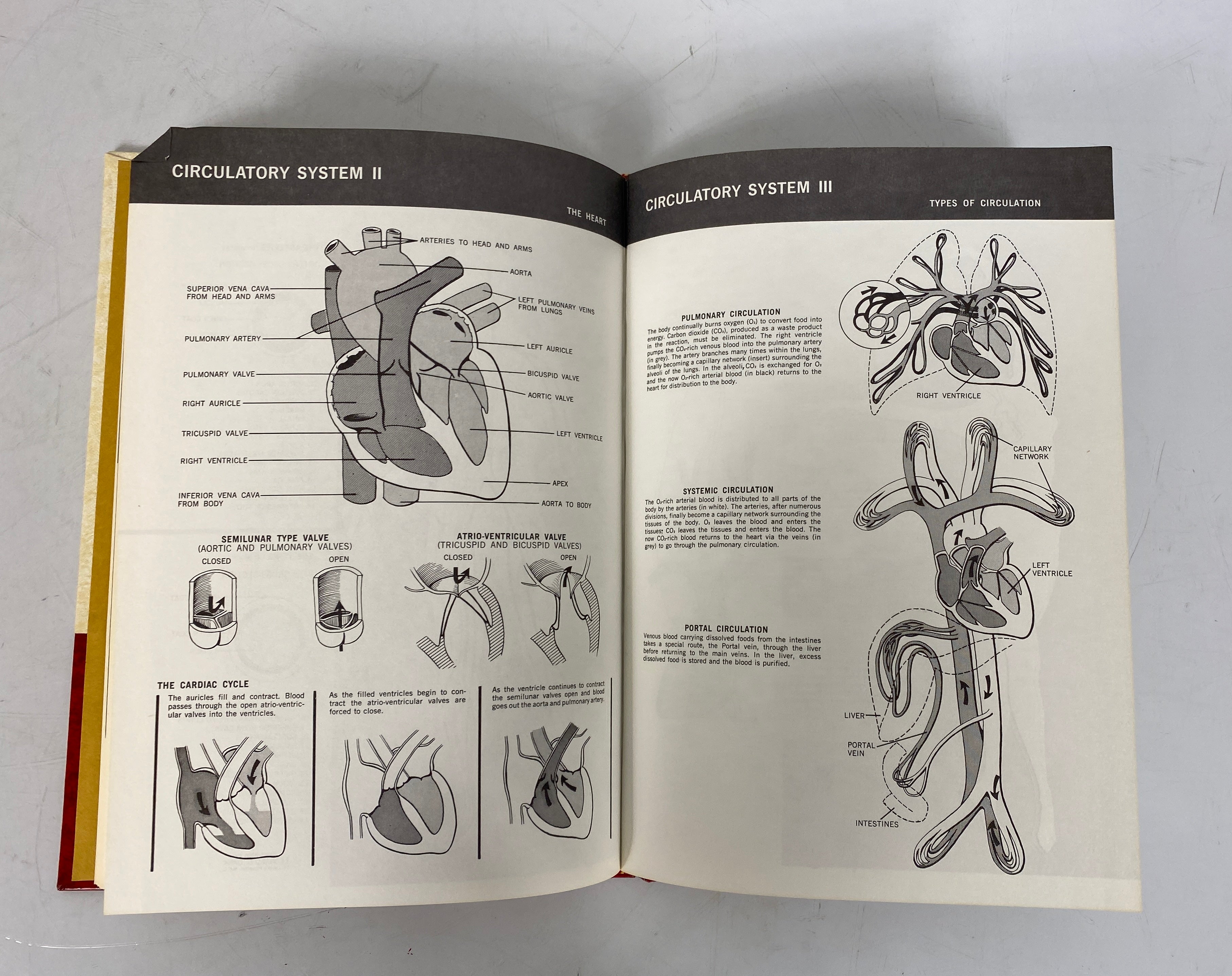 Complete 18 Volume Set: The New Illustrated Medical & Health Encyclopedia 1970