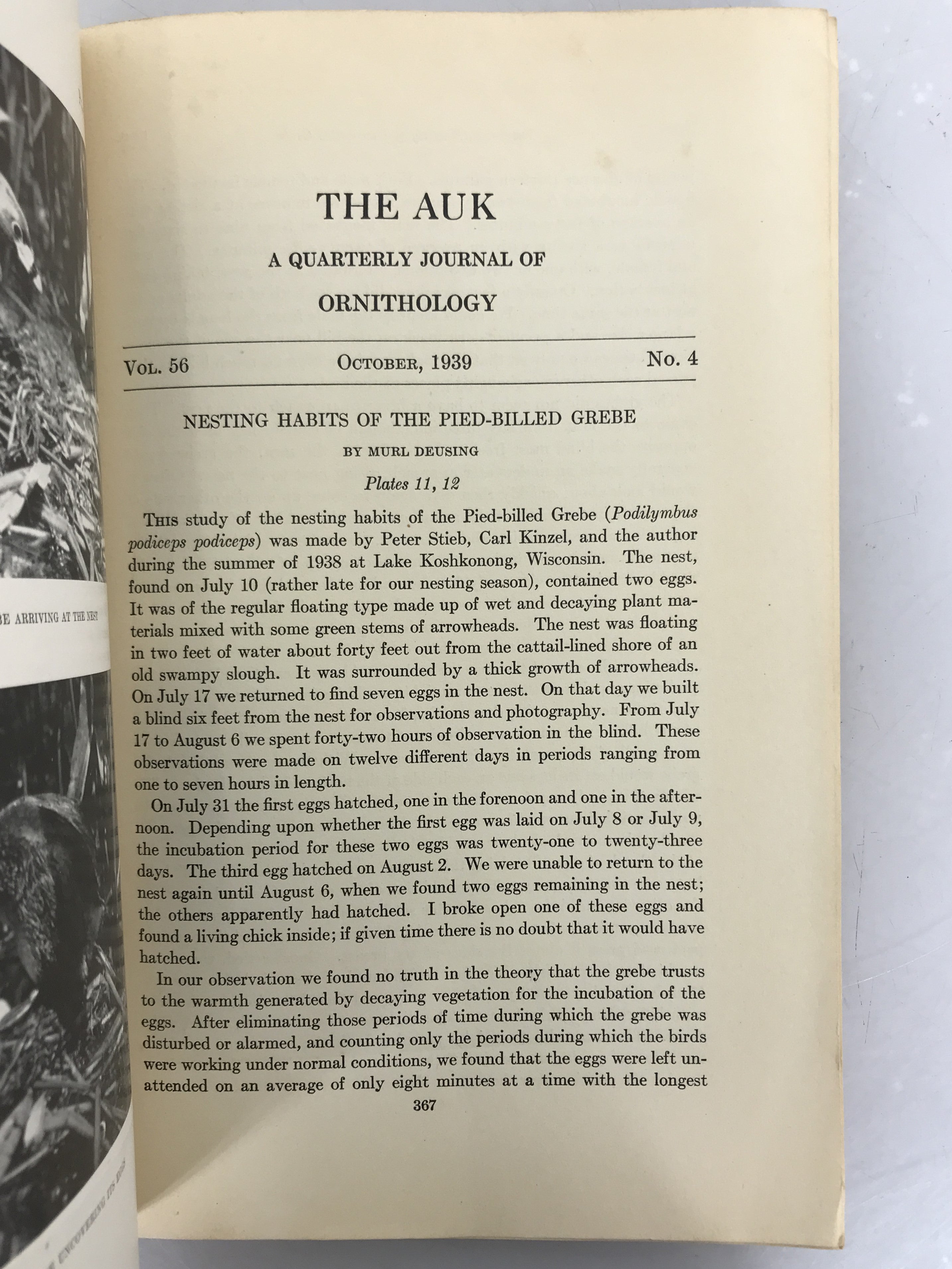 Lot of 5 The Auk Quarterly Journal of Ornithology Complete 1939 and 10 Year Index