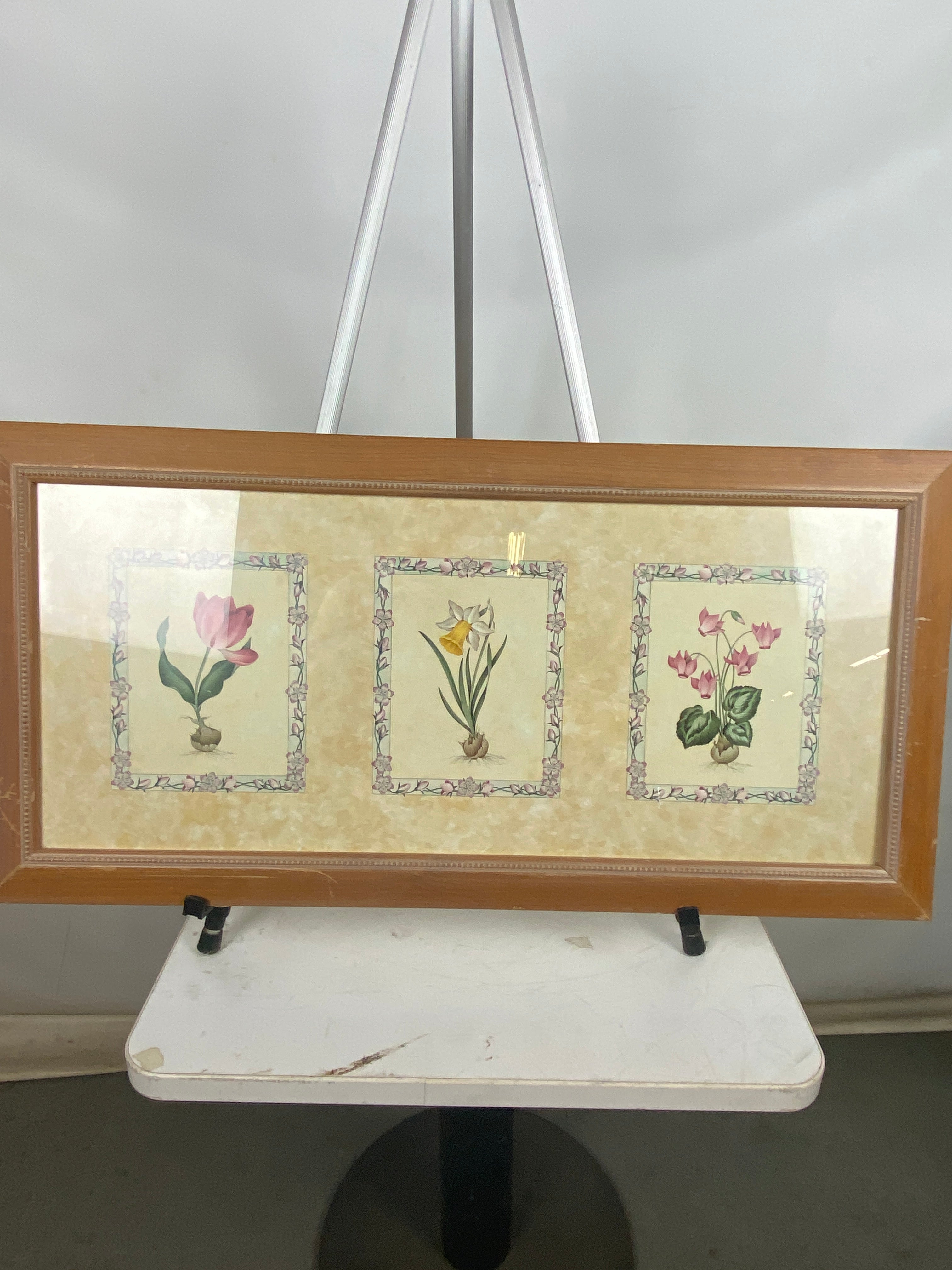 Framed Botanical Flower Painting