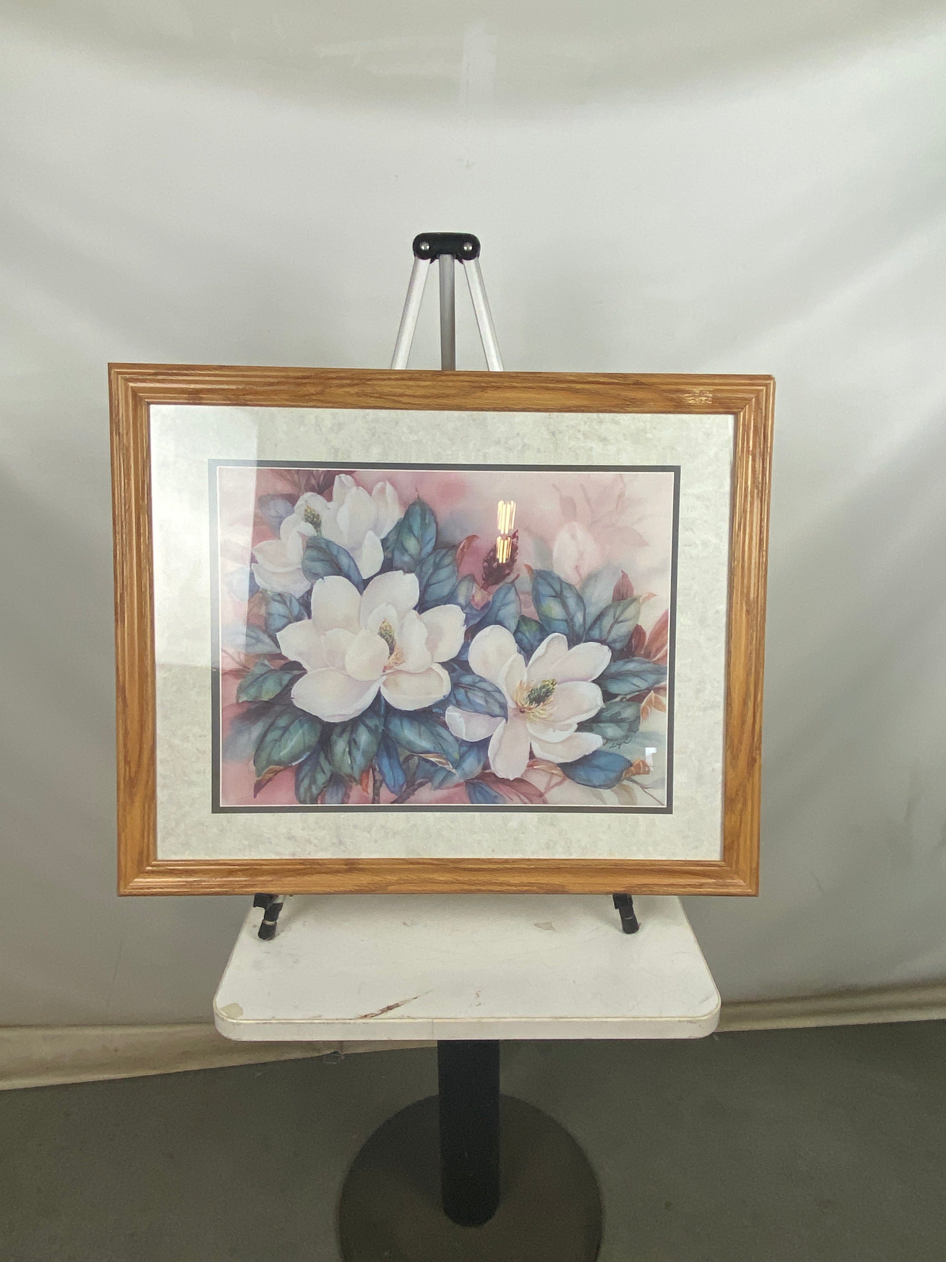 Framed Print of 'Magnolia II'
