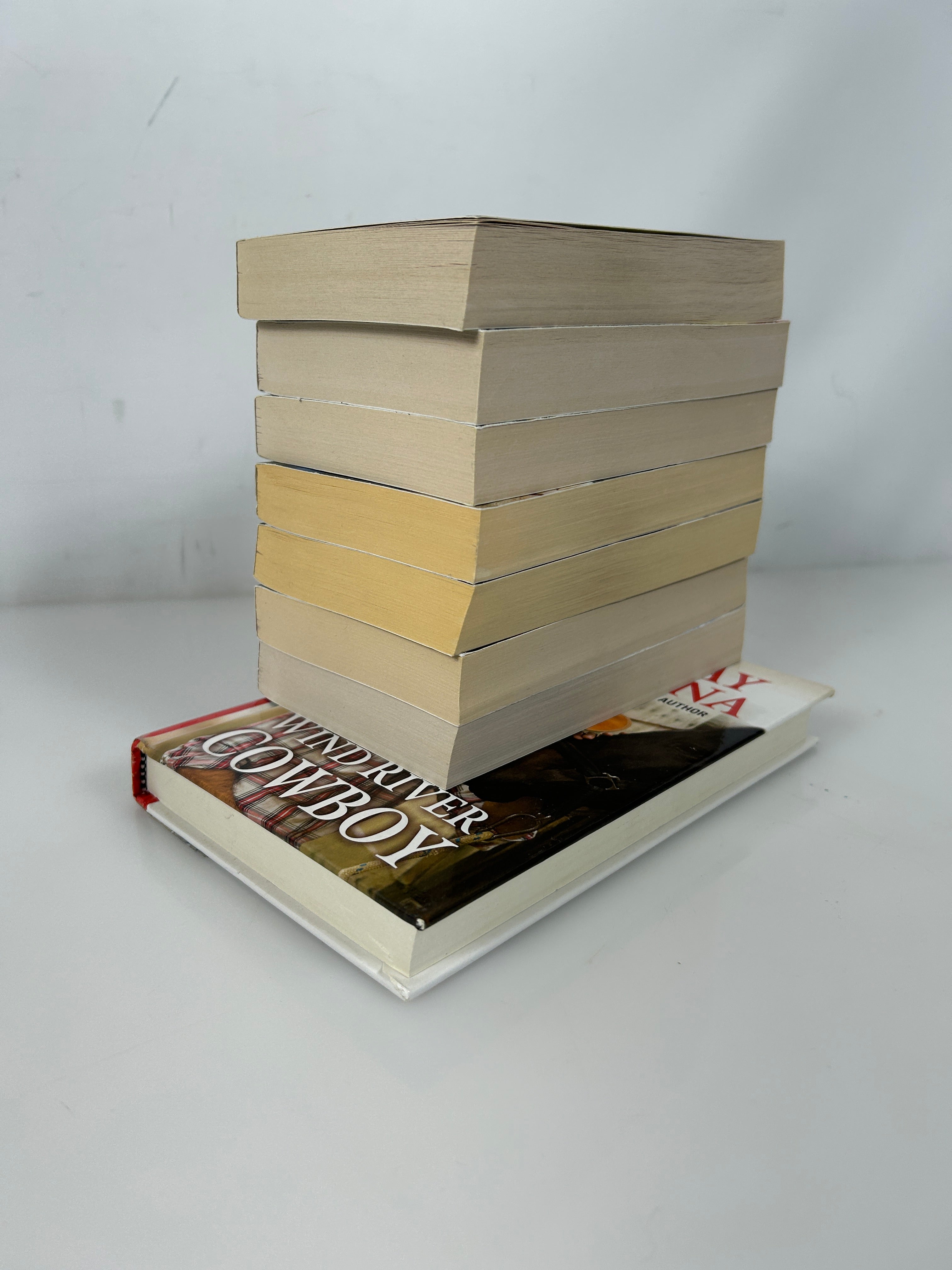 Lot of 8 books  in the Wind River Valley Series by Lindsay McKenna