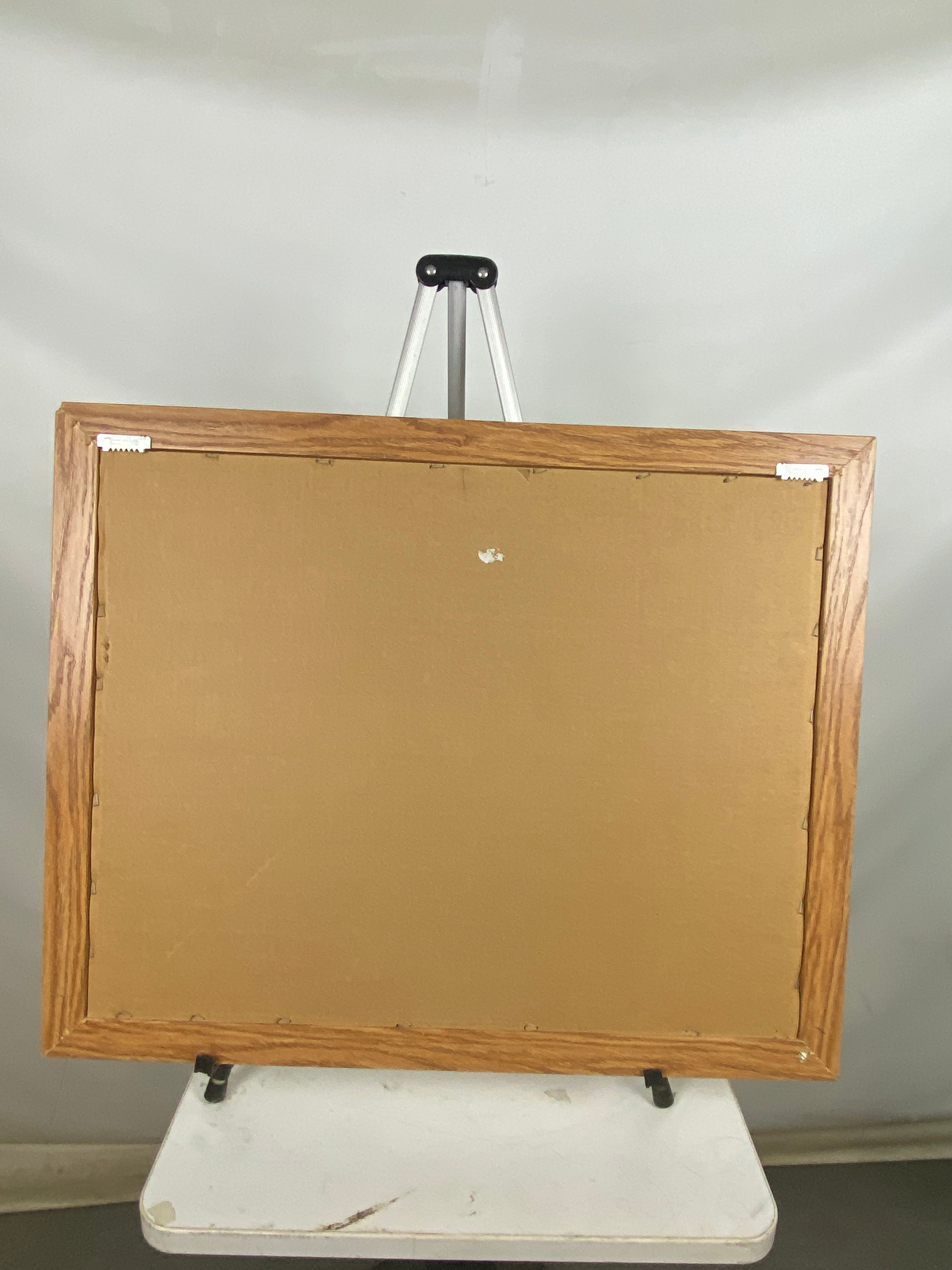 Framed Print of 'Magnolia II'