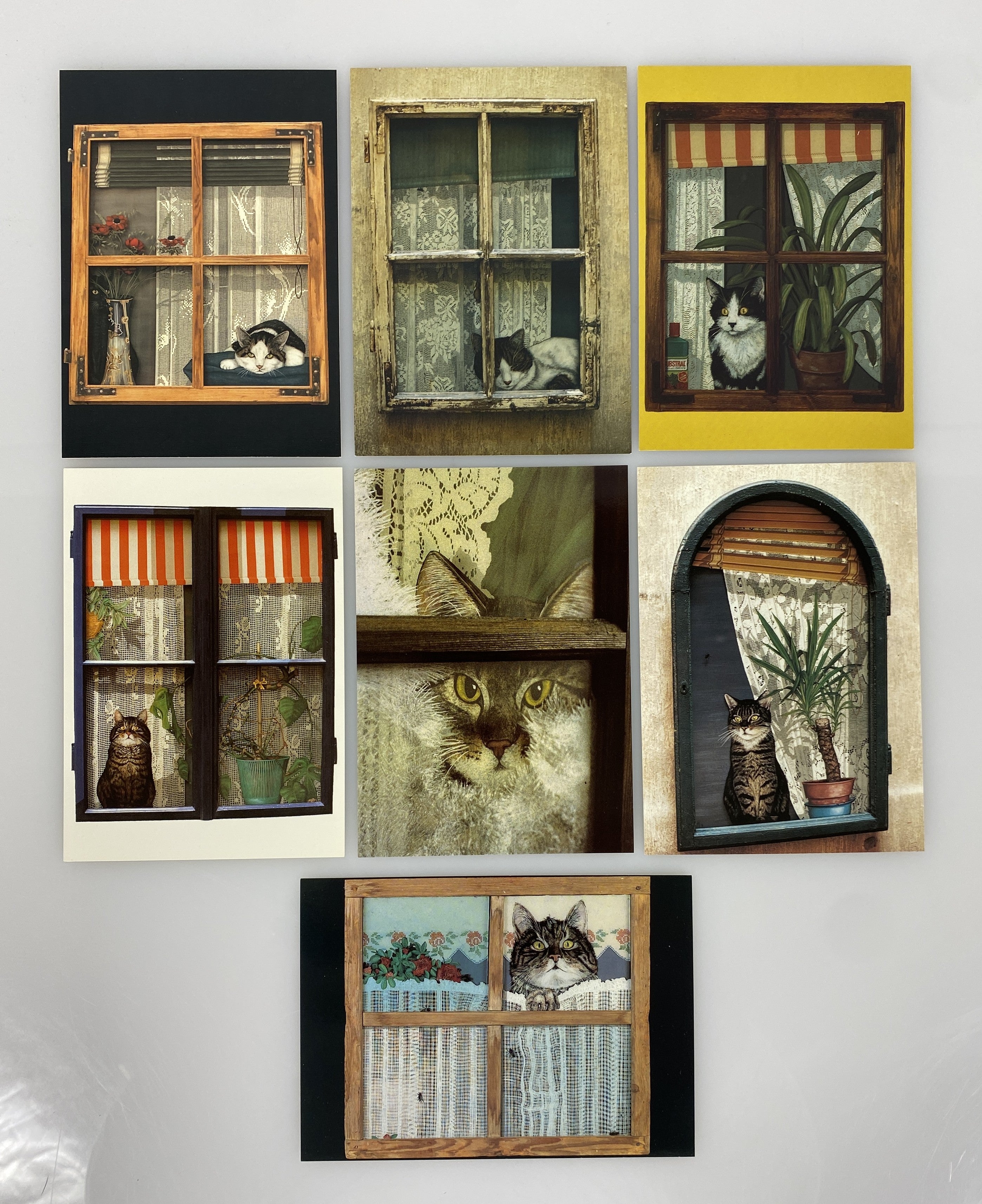 Cat Themed Postcards by Pamela Bassett