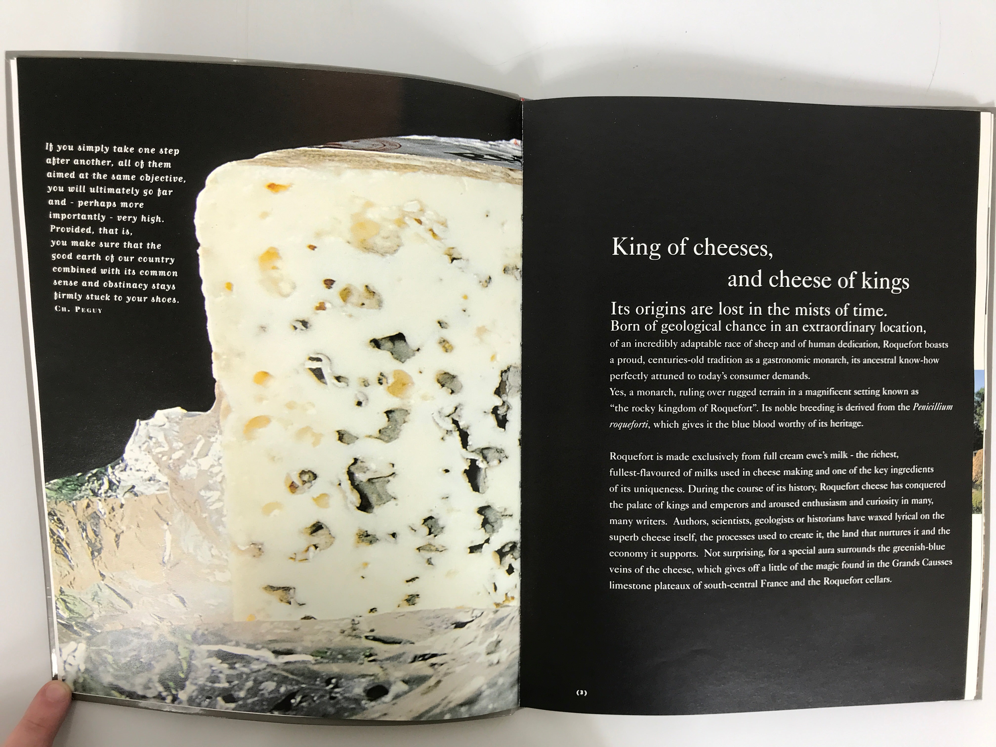 The History of Roquefort Cheese "King of Cheeses" Lushly Illustrated SC