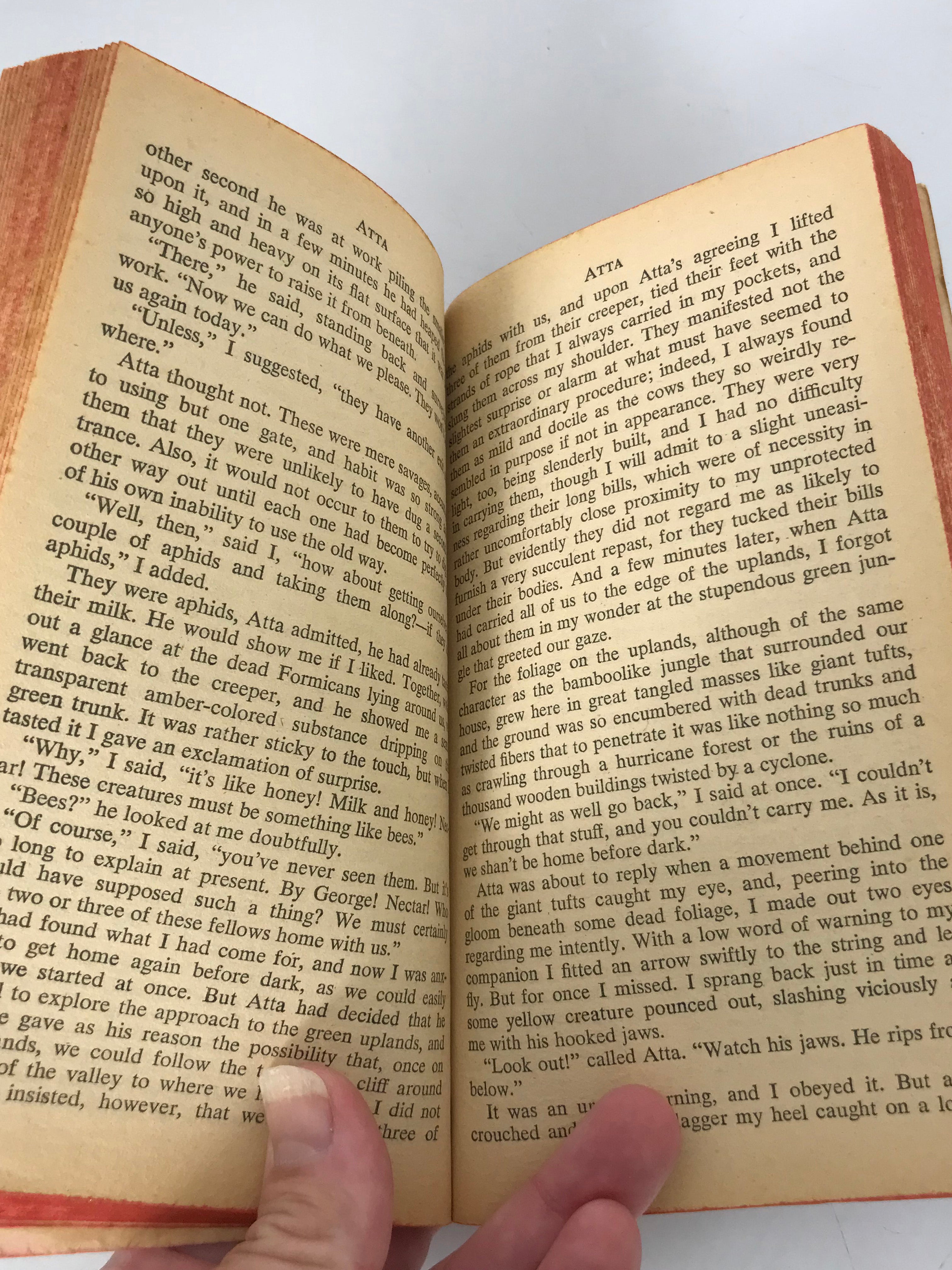 Atta by Frances Rufus Bellamy 1974 Pocket Books PB