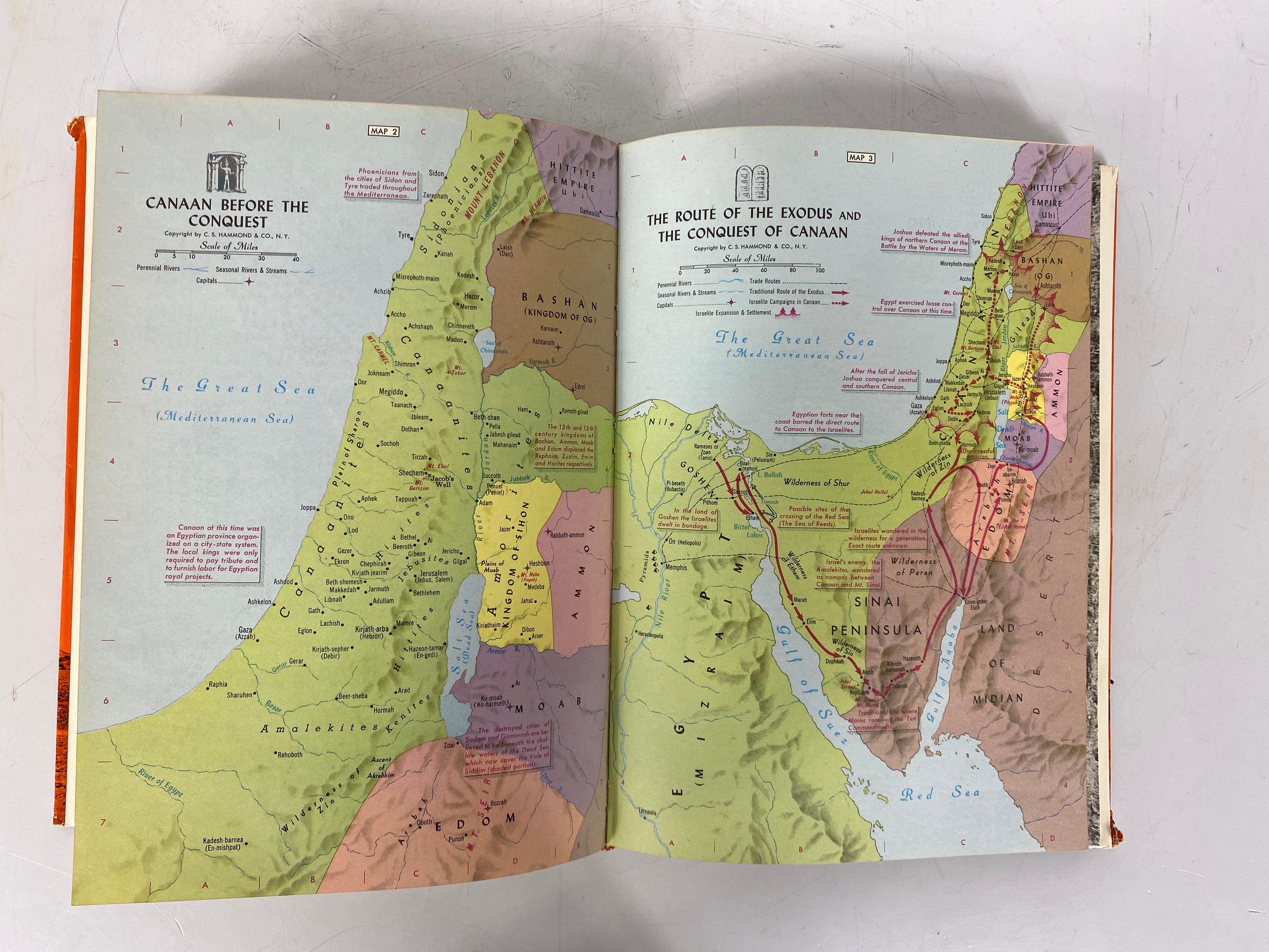 2 Vols: Biblical Backgrounds (1965)/Interpreting the Bible 1970-3rd Print) HCDJ