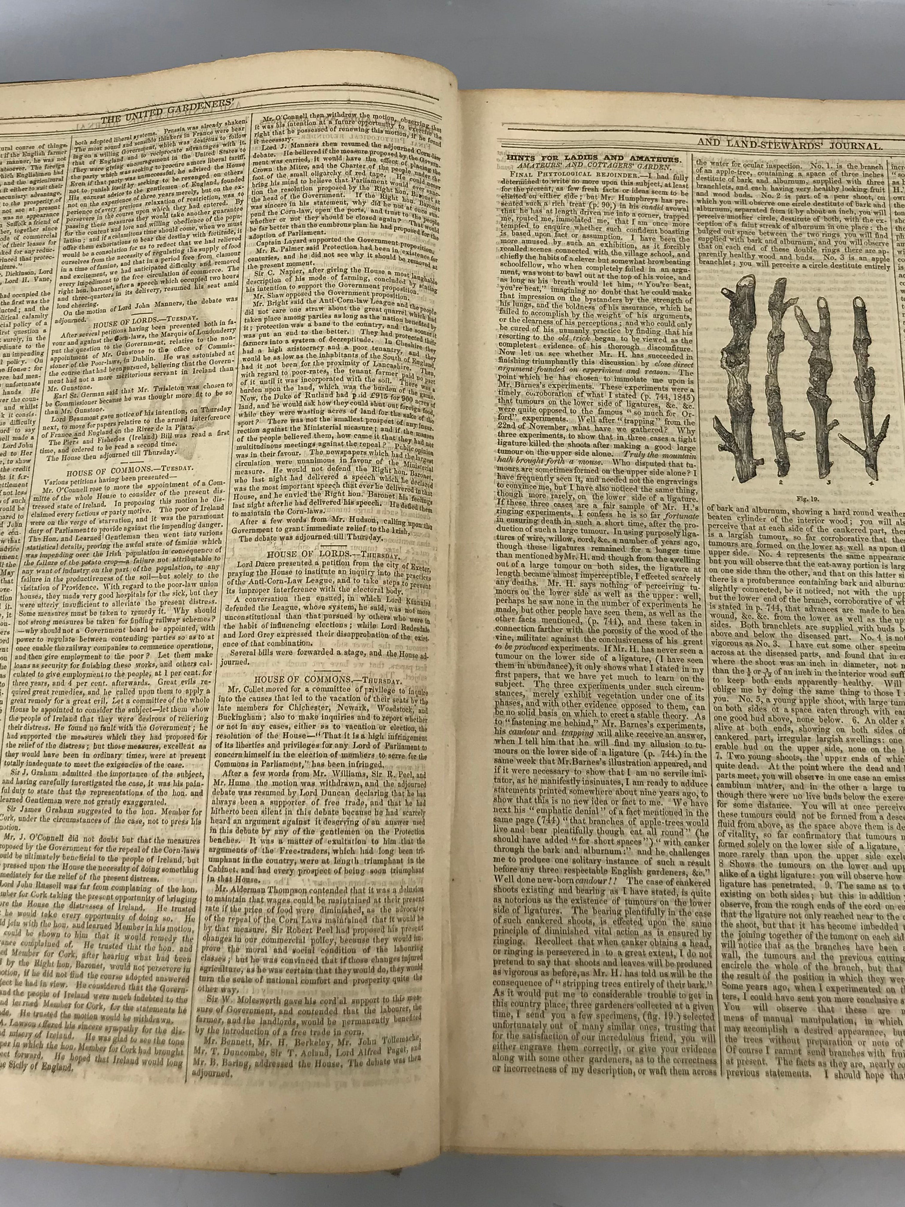 The United Gardeners' and Land-Stewards Journal 1846 Bound